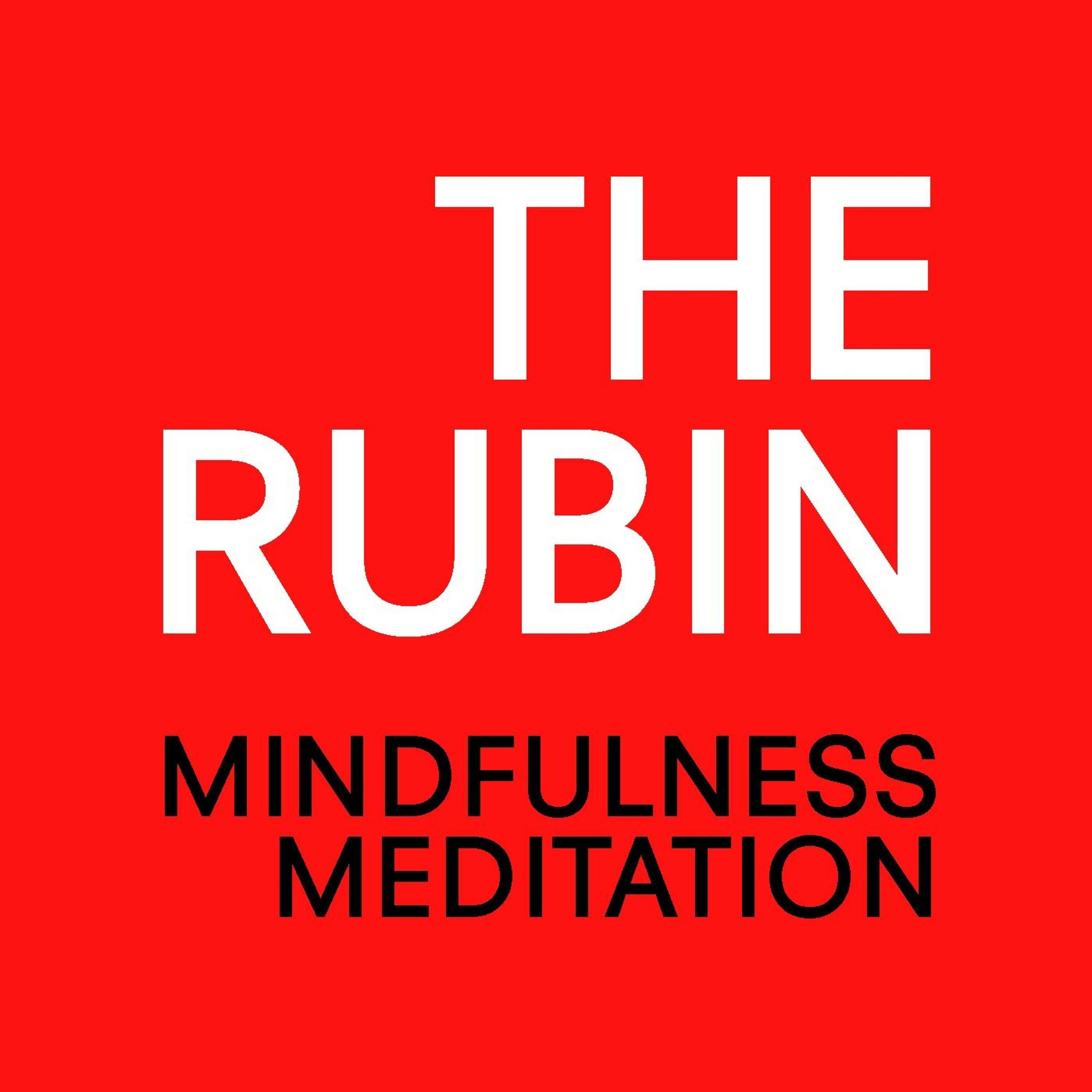 Mindfulness Meditation 6/15/16 with Jon Aaron