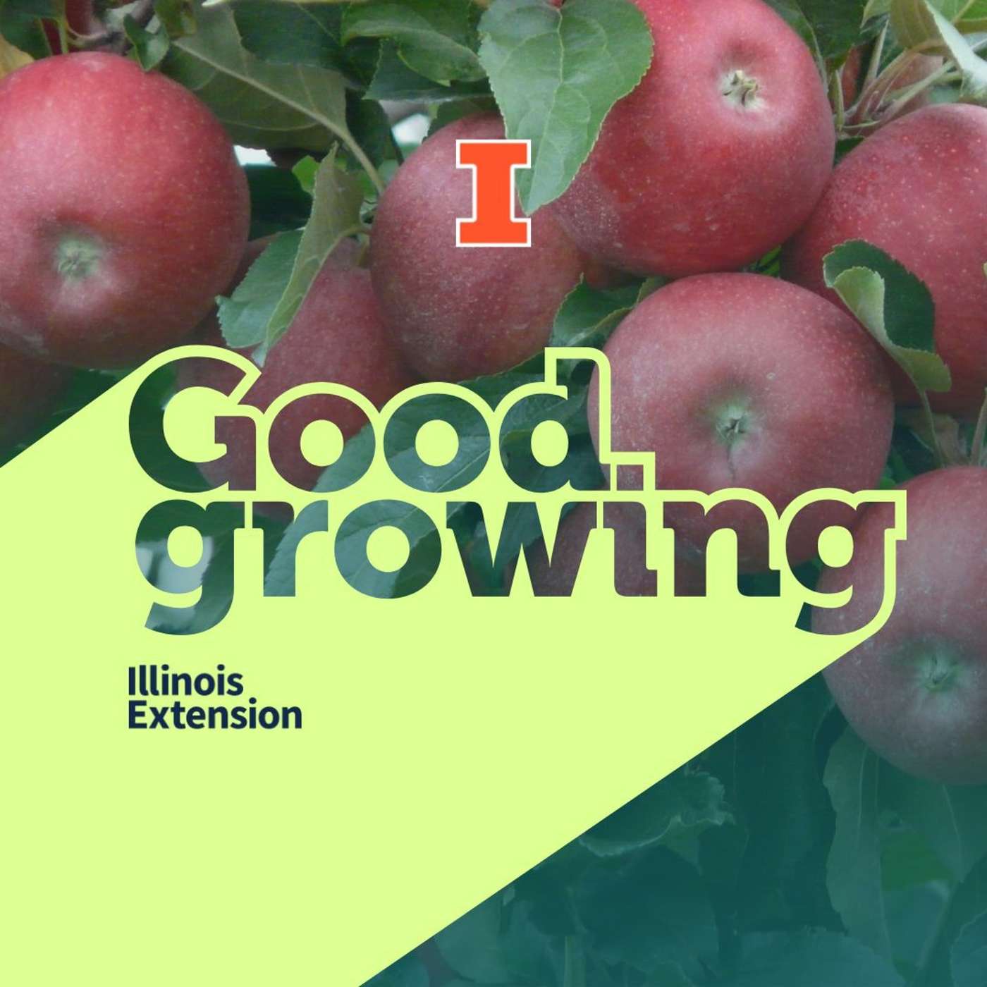 Good Growing