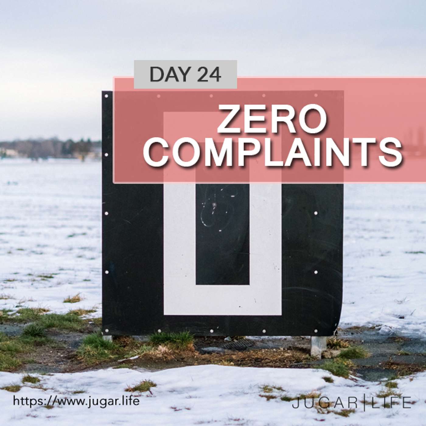 Day Twenty-Four | Zero complaints