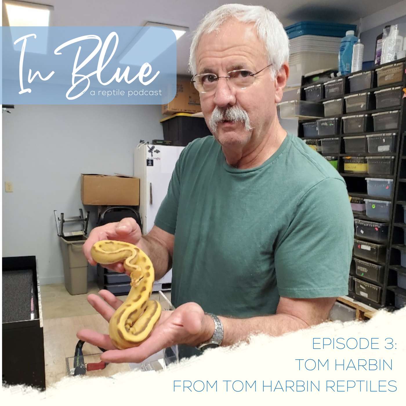 Episode 3 Tom Harbin, Tom Harbin Reptiles