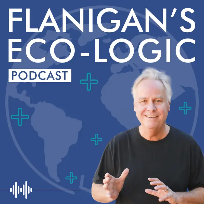 Dr. Robert Kay on a Climate-Resilient, Low-Carbon Future