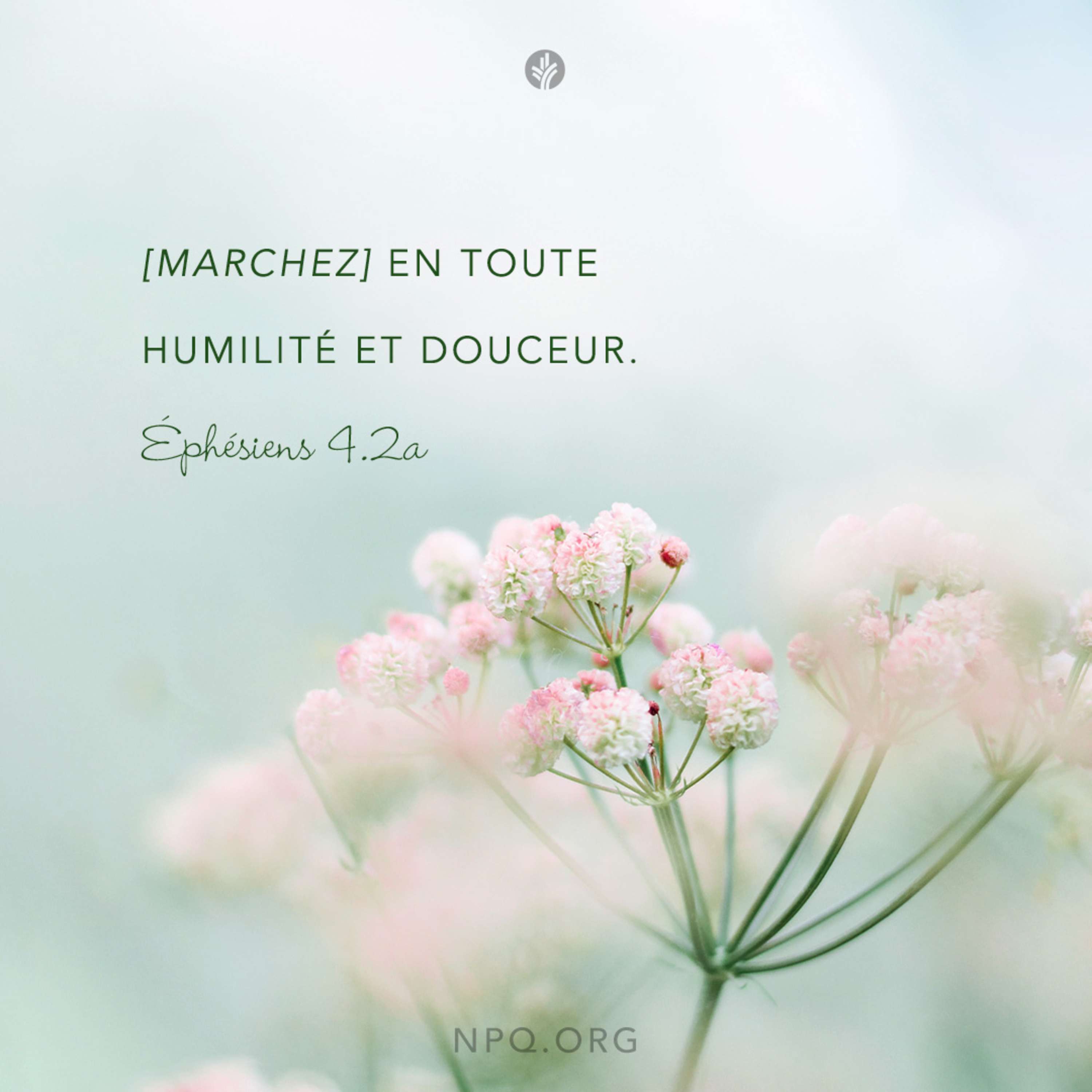 Notre Pain Quotidien podcast