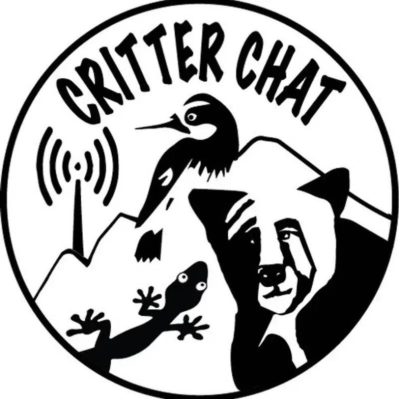 Critter Chat