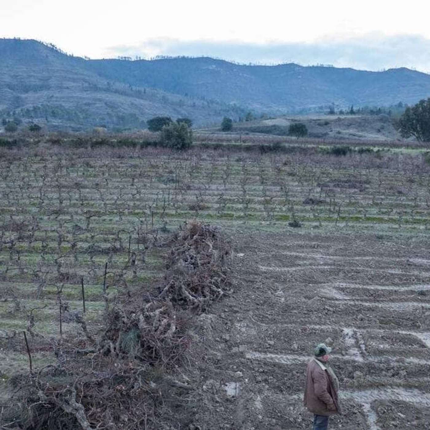 France Revives Wine Industry Plan, EU Warns Portugal Budget Risks, Germany Sees Fireworks Boom, Adenot Leads Educational ISS Mission, and more...