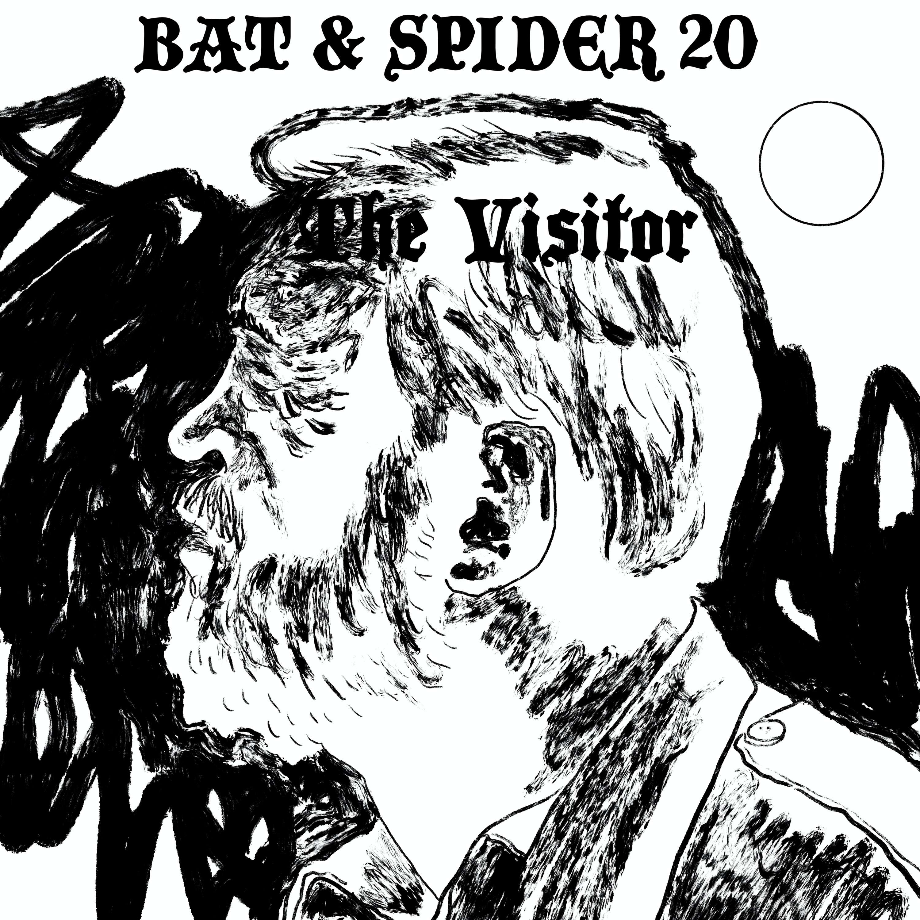 BAT AND SPIDER
