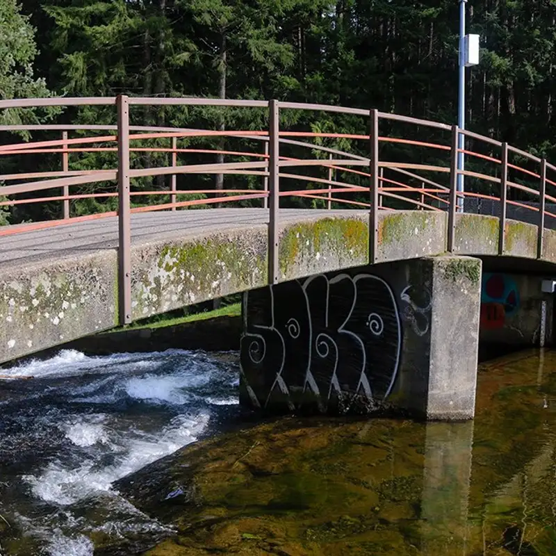 Dams in Nanaimo could kill hundreds if they fail says expert
