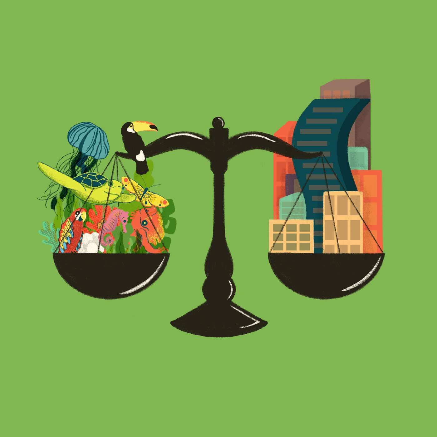 Municipalidad de Nicoya: un reglamento visionario pero incierto episode artwork