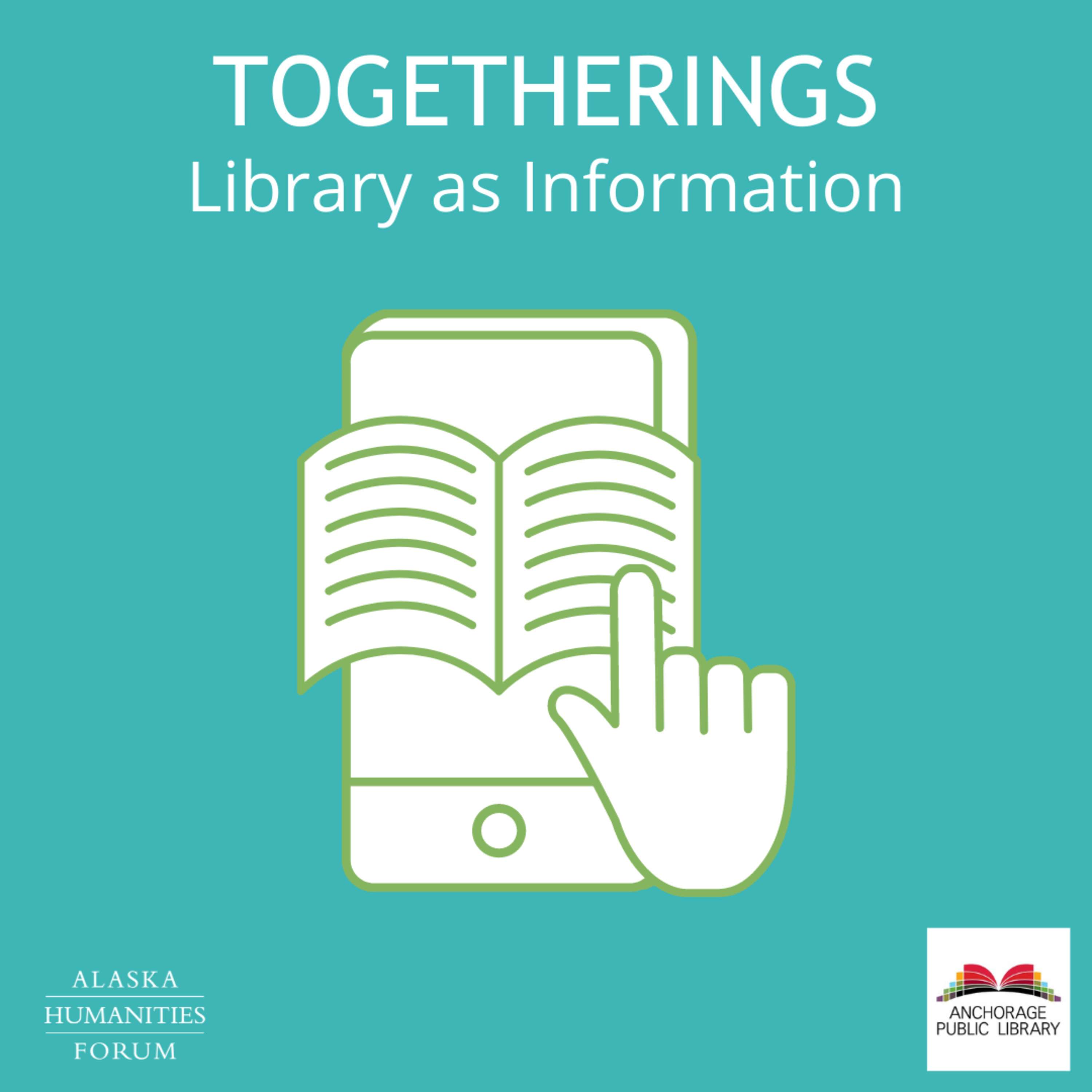 Library as Information