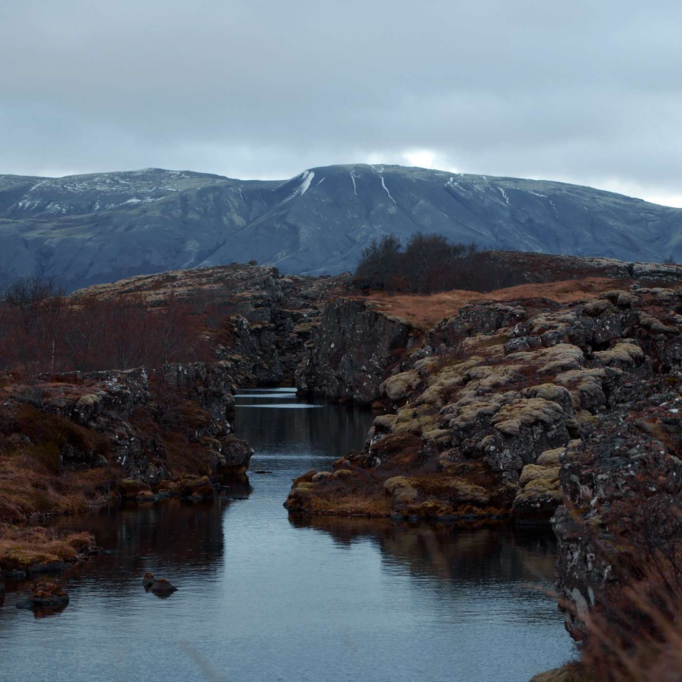 Genadig en teder teleurgesteld (Romeinen 3:25-26)