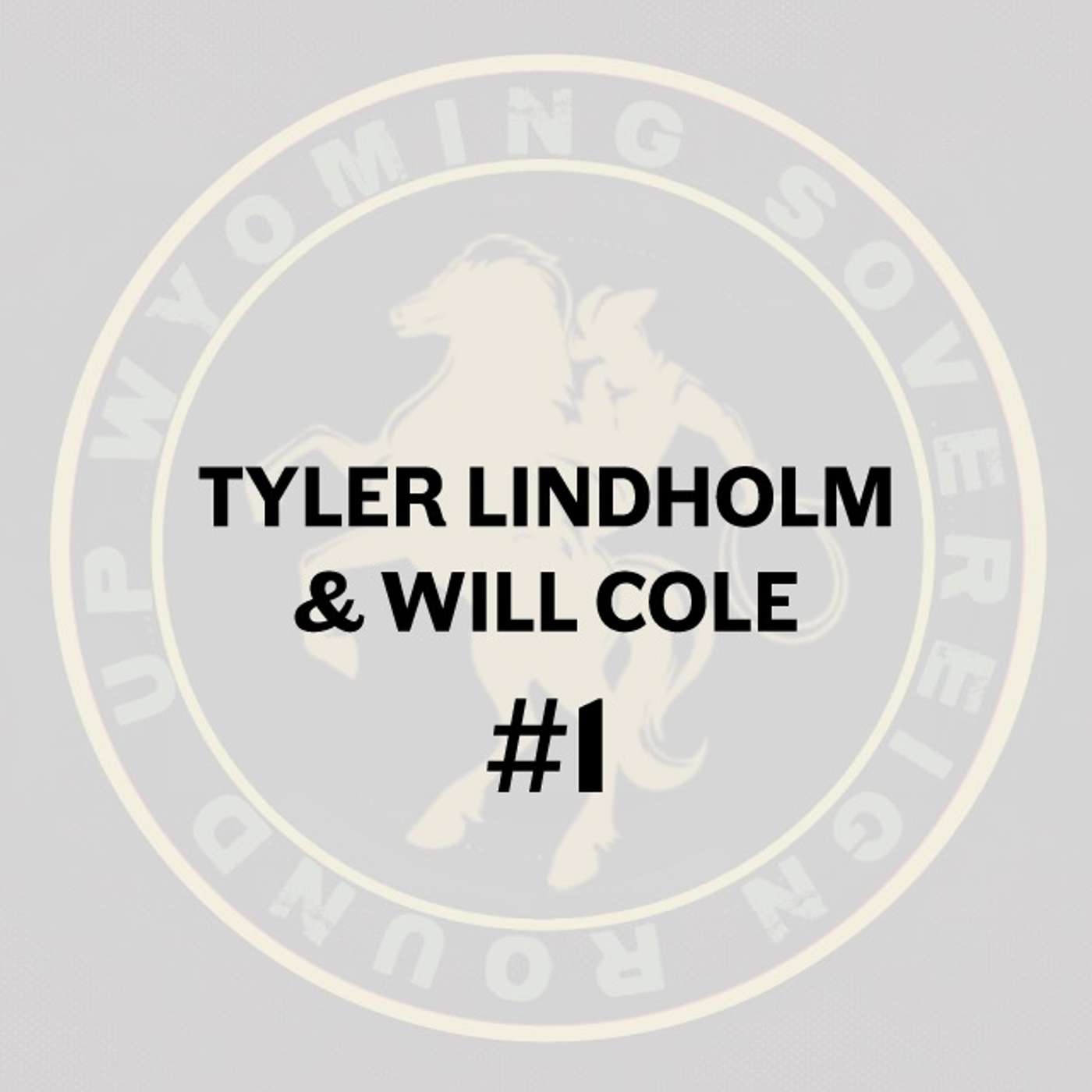 #1 Tyler Lindholm & Will Cole | The State Of Bitcoin Legislation 2024 #1 Tyler Lindholm & Will Cole | The State Of Bitcoin Legislation 2024