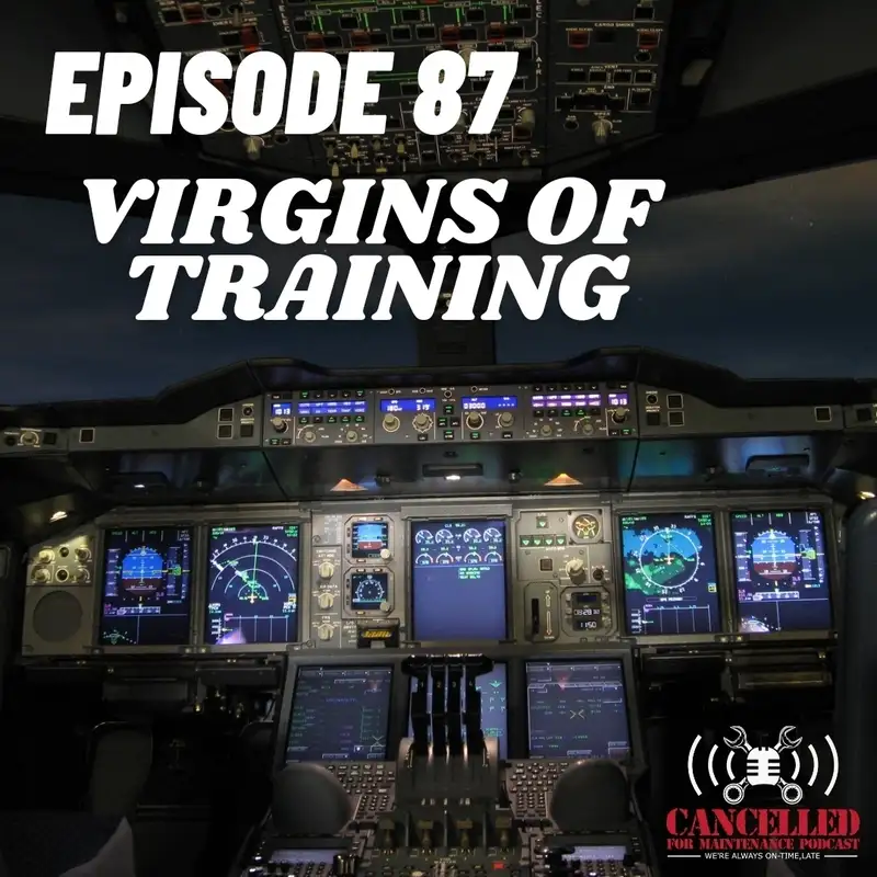 Virgins of Training