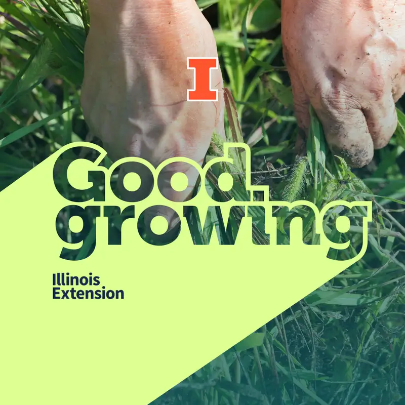 Ep. 186 Managing weeds in the fall | #GoodGrowing