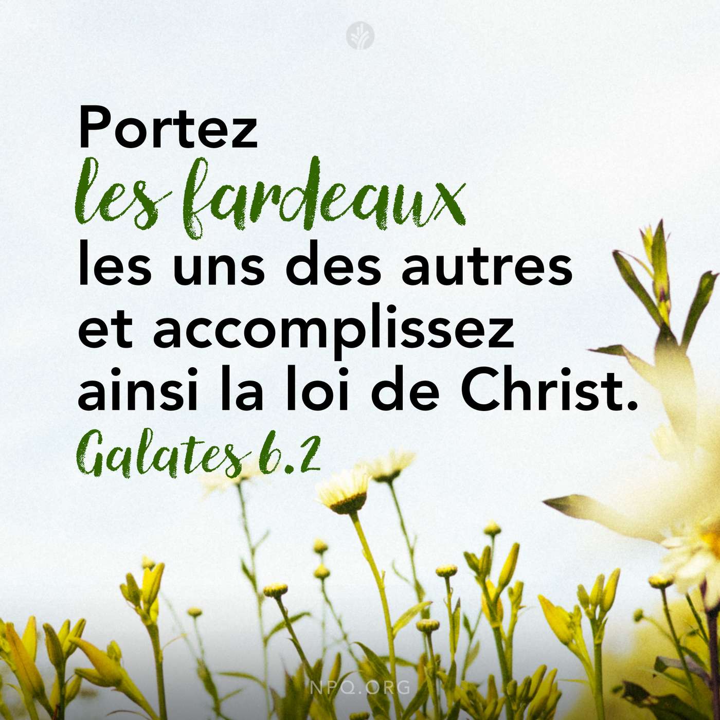 Douleur de solidarité