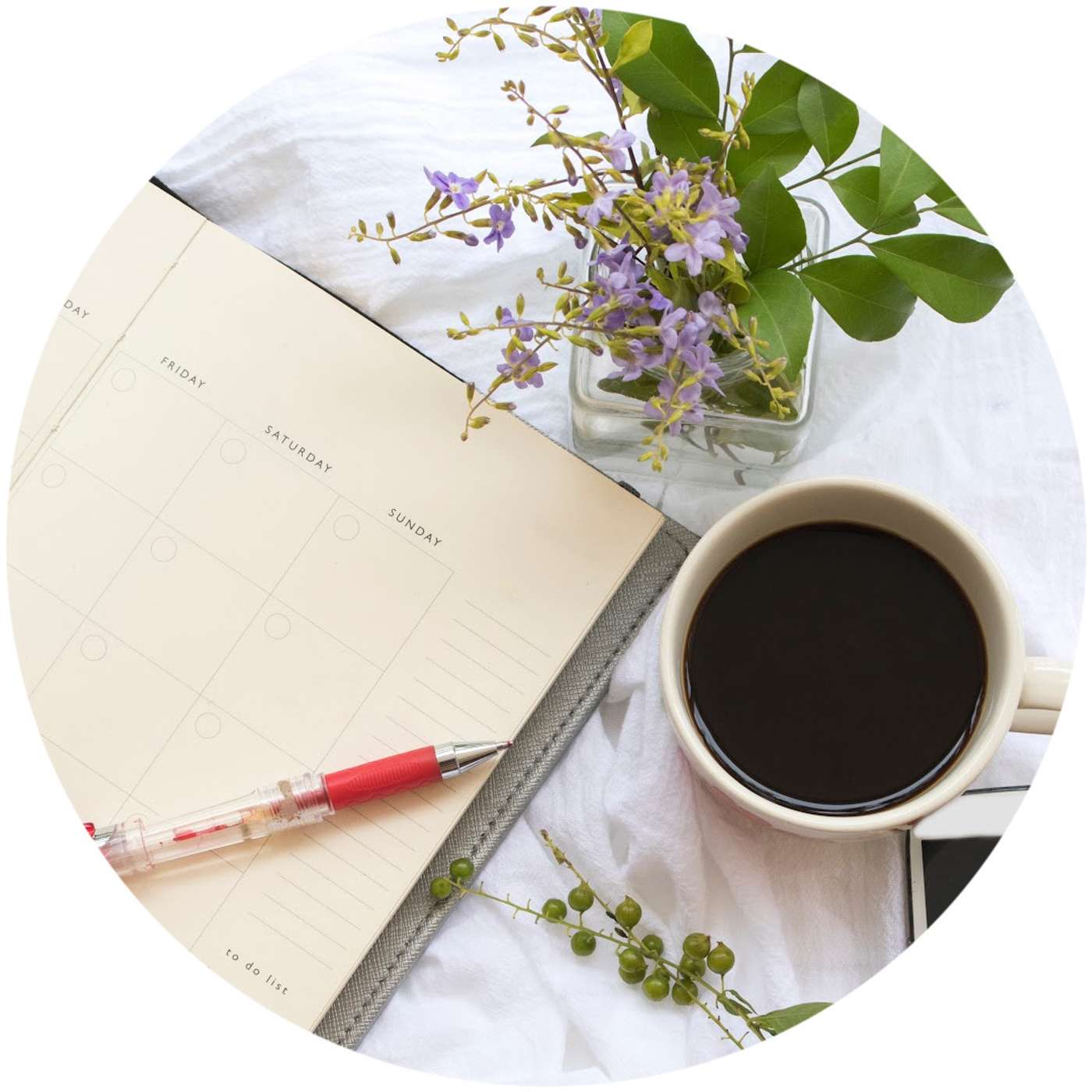 Simplified Organization: Work Your Plan #1 - Declutter Your Calendar