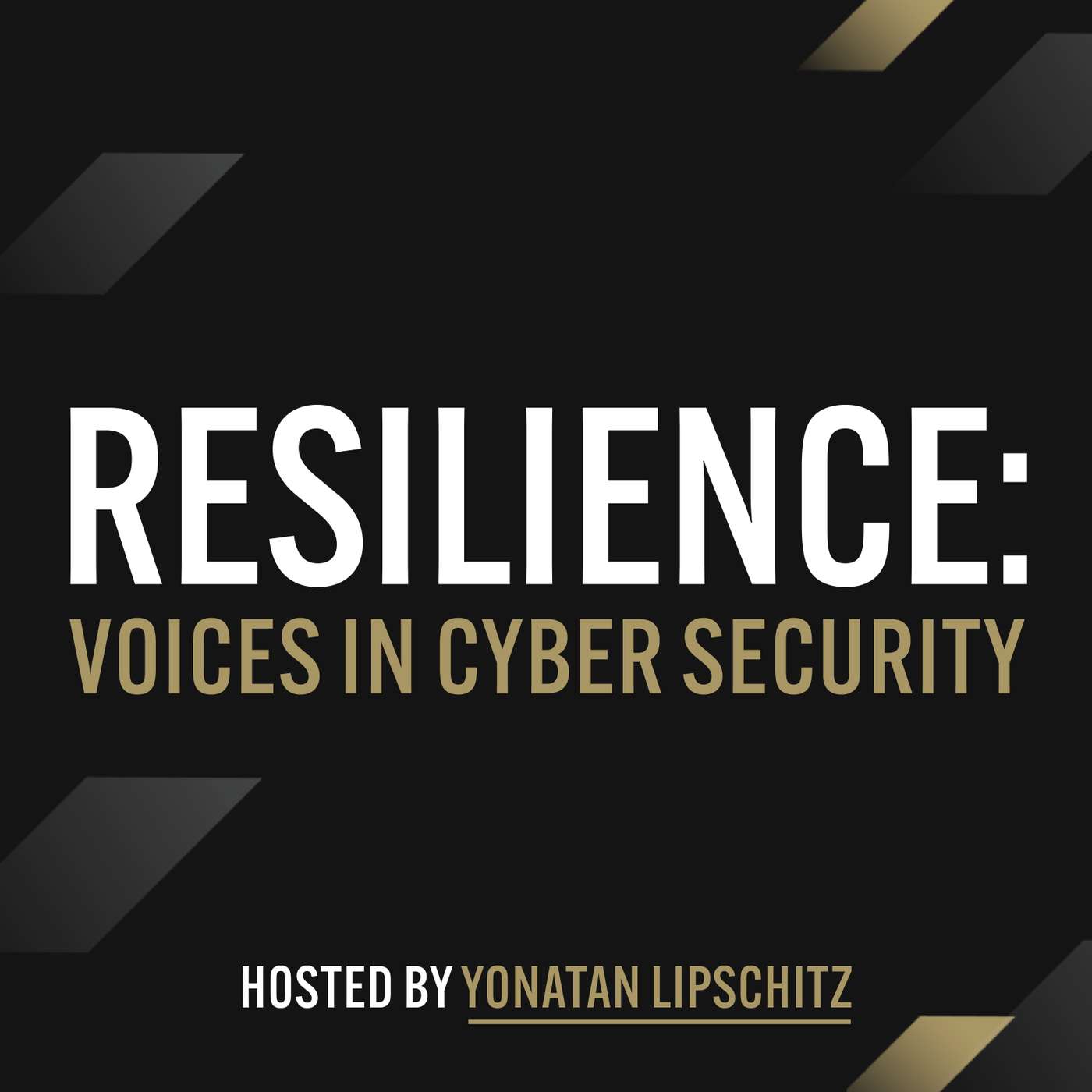 Resilience: Voices in Cyber Security