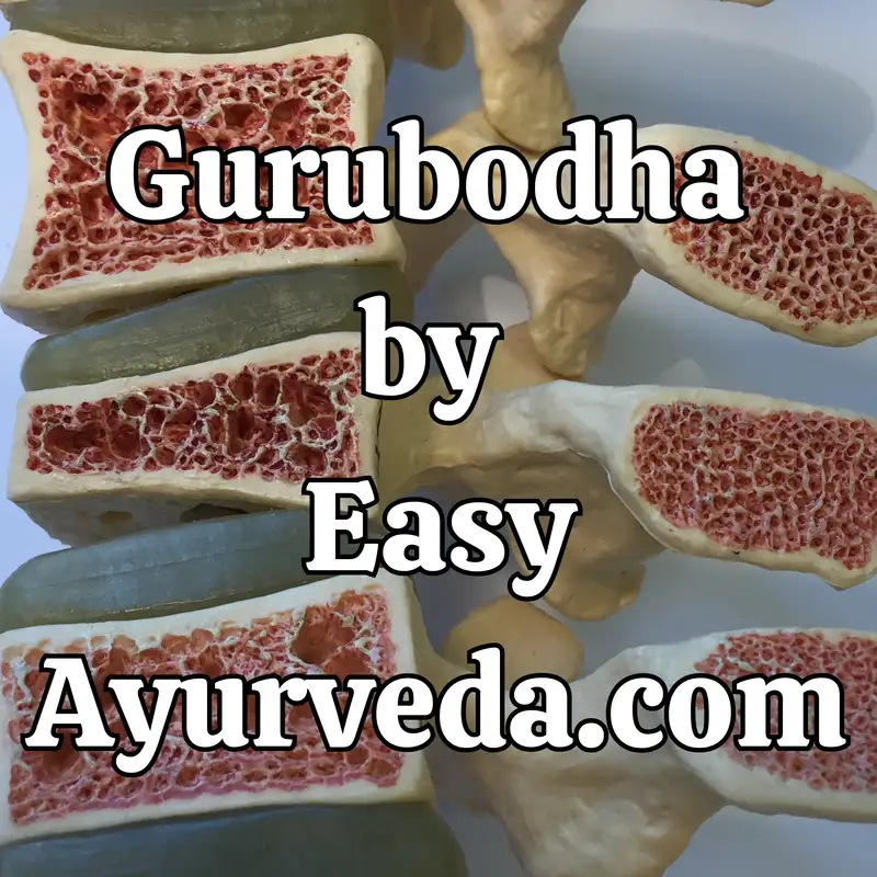 Gurubodha 130: Ayurveda perspective of treating vitamin and mineral deficiencies| Osteoporosis| Osteopenia - Ayurveda Management