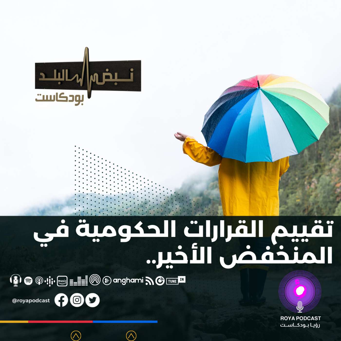 تقييم القرارات الحكومية في المنخفض الأخير..