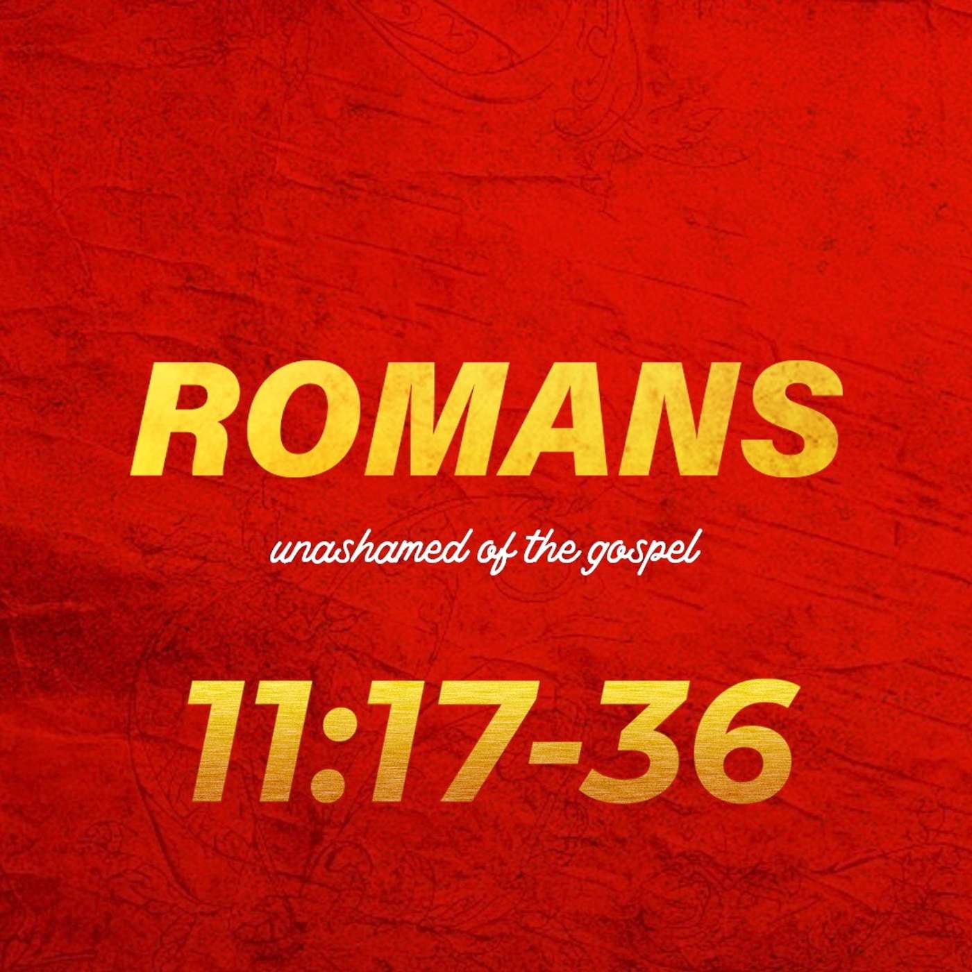 Romans 11:17-36 episode artwork