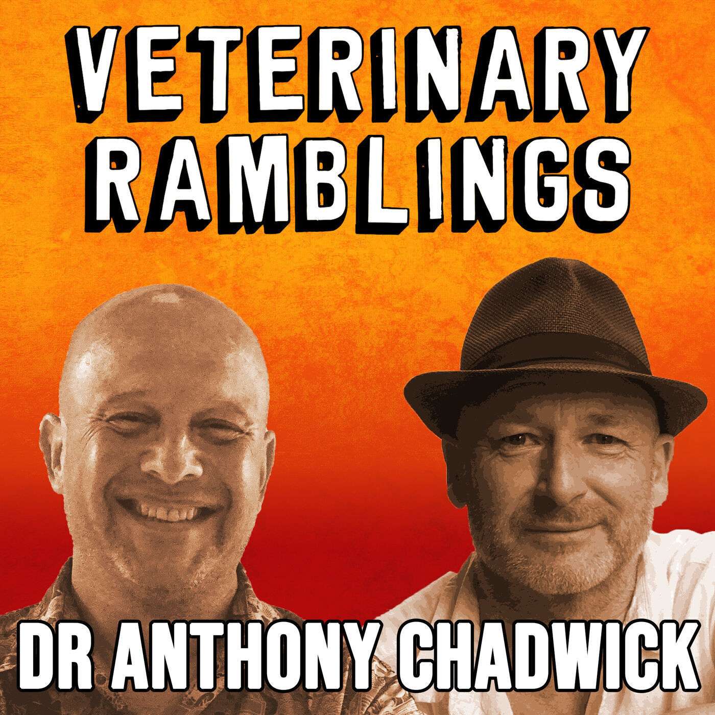 Ep 7: The Webinar Vet: Dr Anthony Chadwick