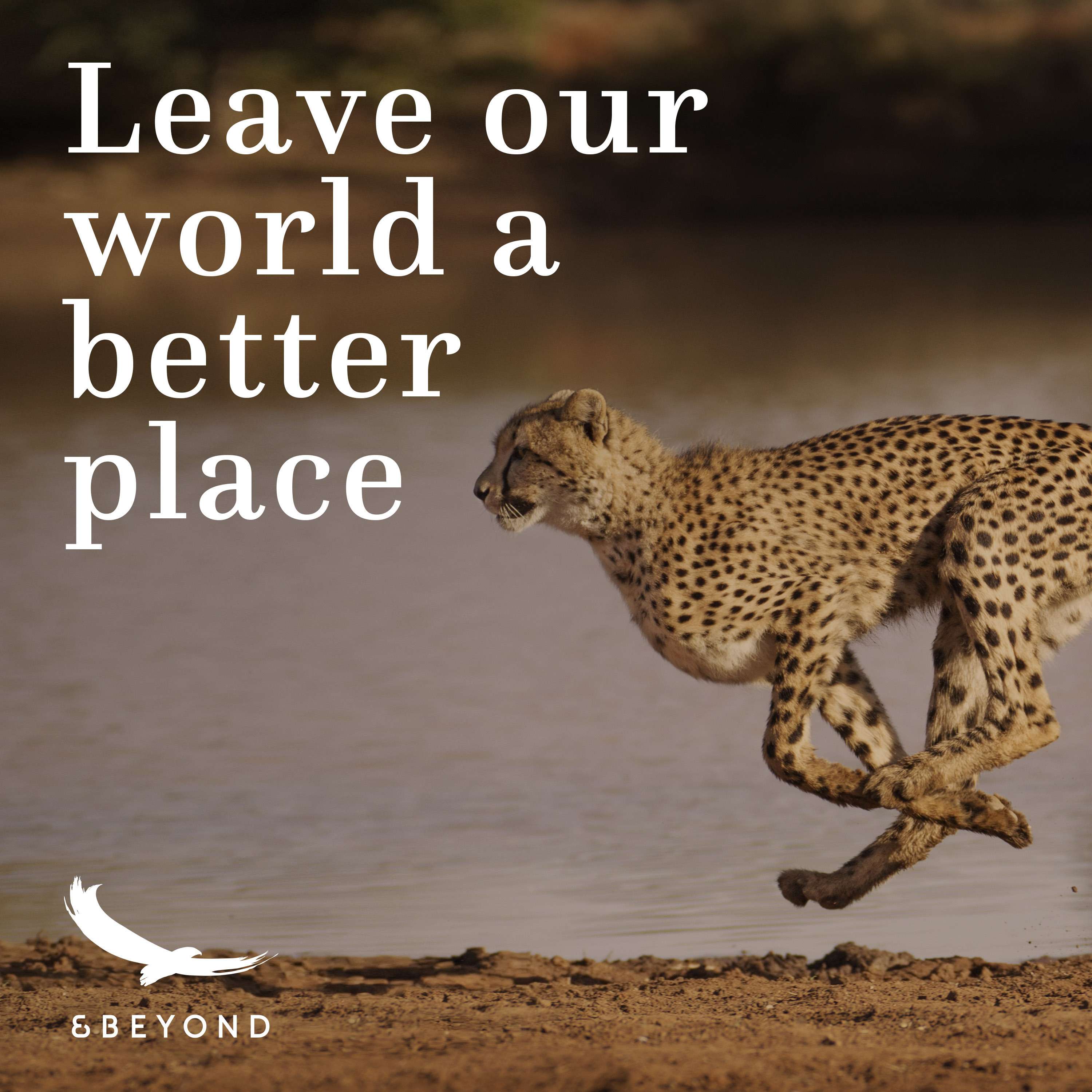 Better World
