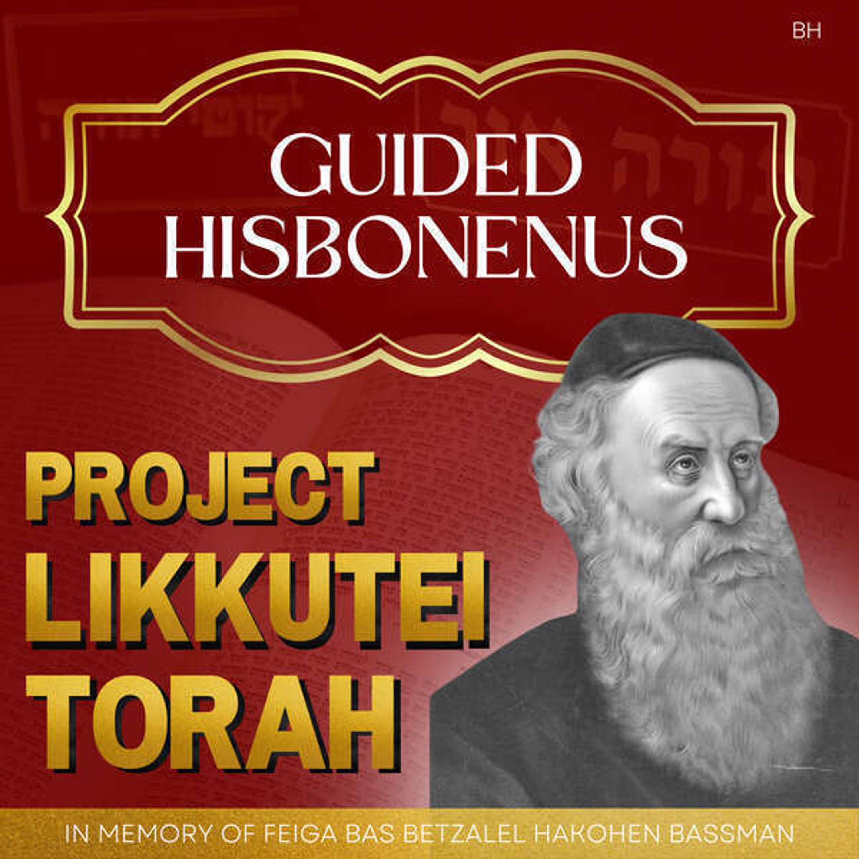 Chassidic Parsha Meditations