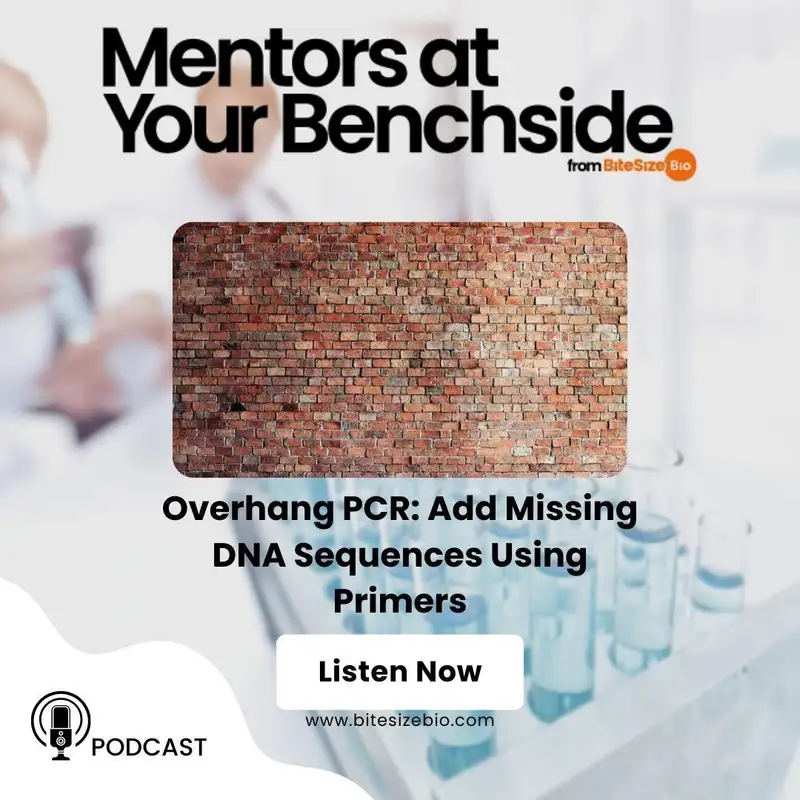 Overhang PCR: Add Missing DNA Sequences Using Primers