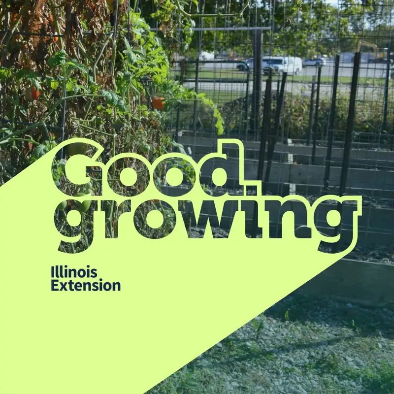 Ep. 188 Fall Cleanup in the Yard and Garden | #GoodGrowing