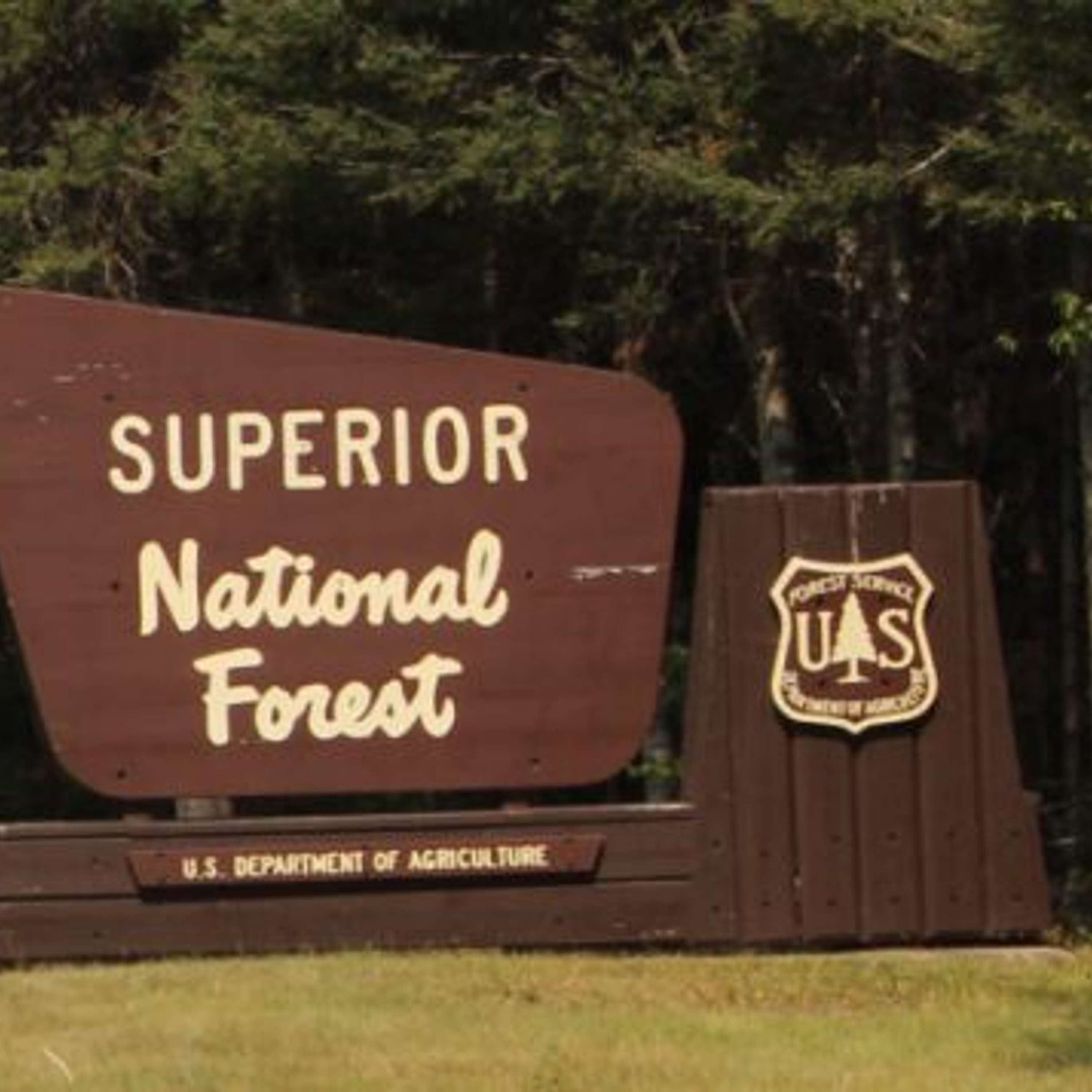 Forest Service Launches Spruce Budworm Response Project & Prepares For Busy Summer Season
