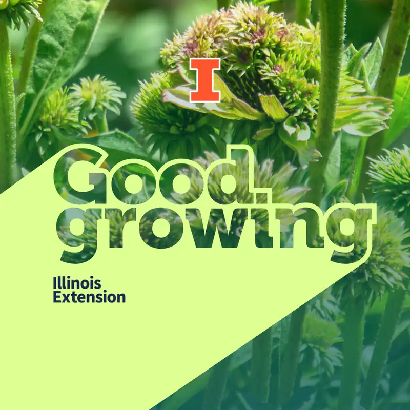 Ep. 181 Plant problems we are seeing in 2024 | #GoodGrowing