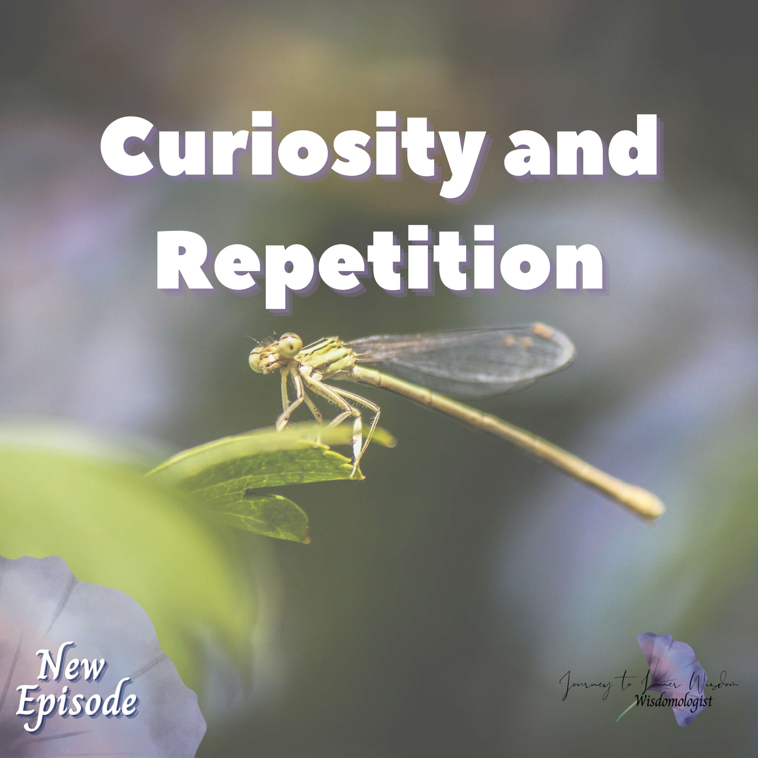 Journey to Inner Practical Wisdom