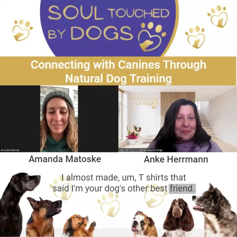 Amanda Matoske - Connecting with Canines Through Natural Dog Training