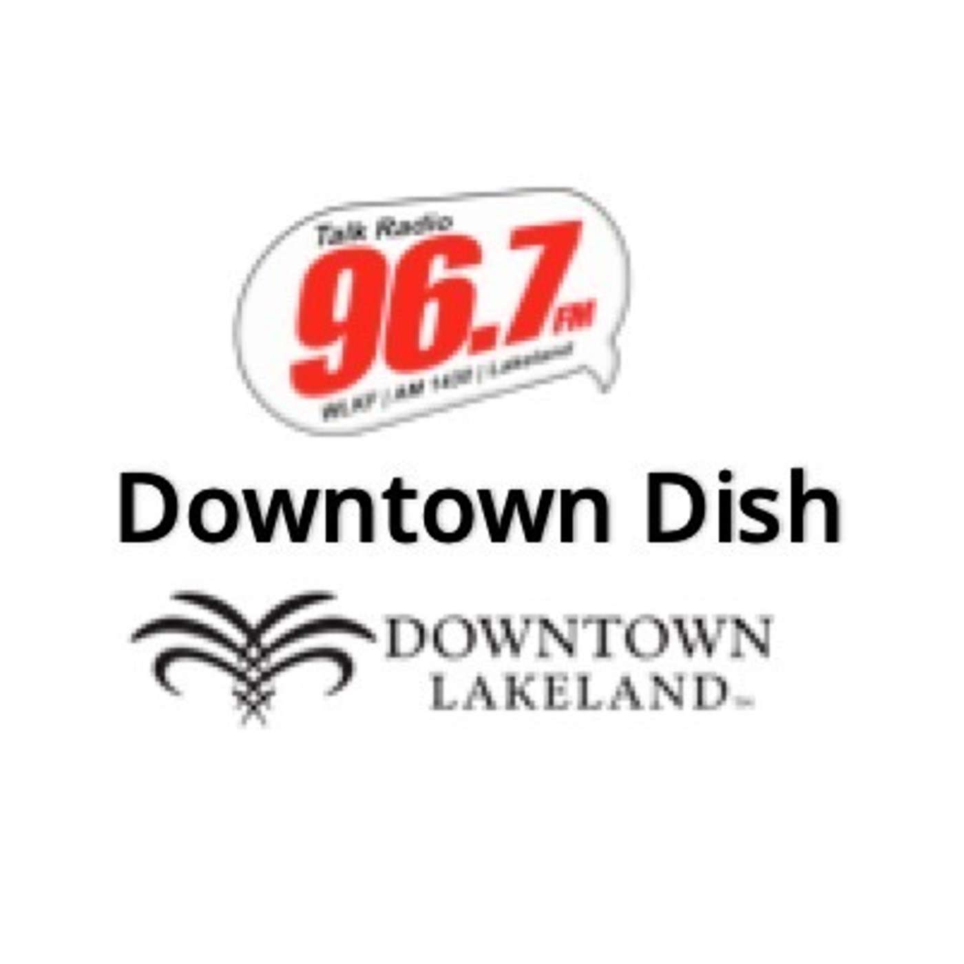 Downtown Dish - Lakeland, FL