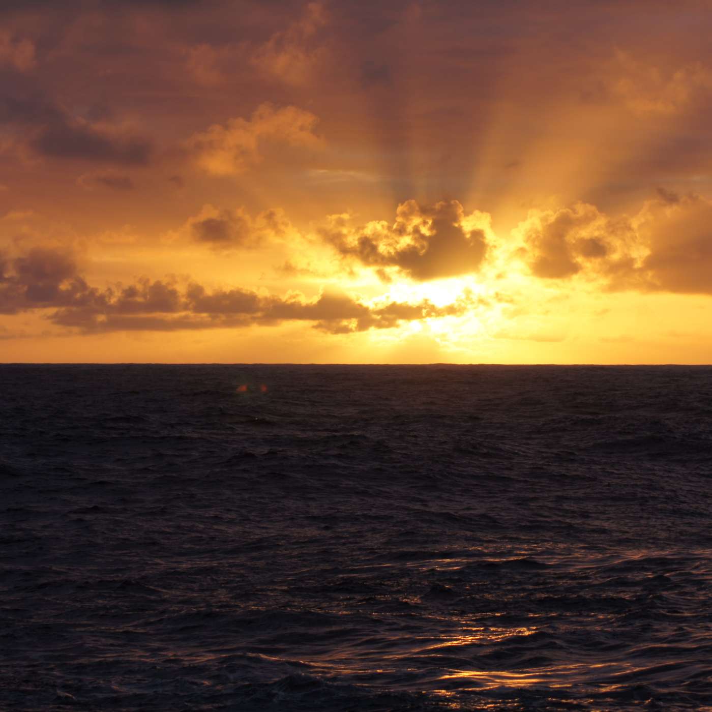 Our Ocean: Our Future – can Ireland become an ocean superpower?