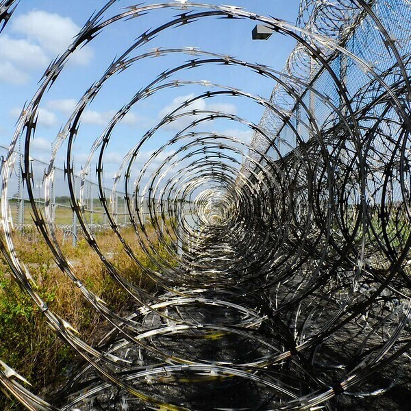 CSU researchers look at the roots, impact of the prison agriculture industry with Prison Agriculture Lab