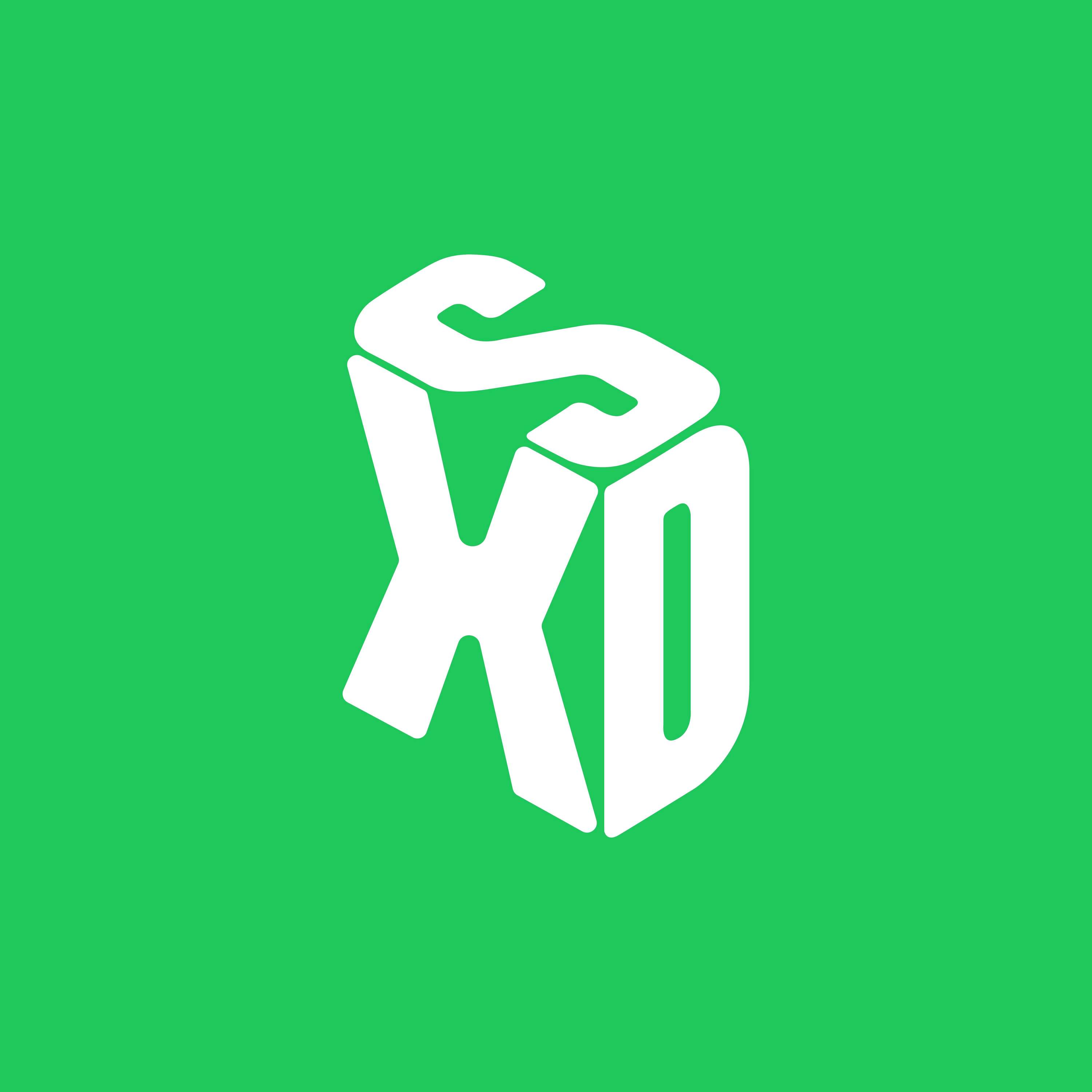 Spatial Experience Design (SXD)