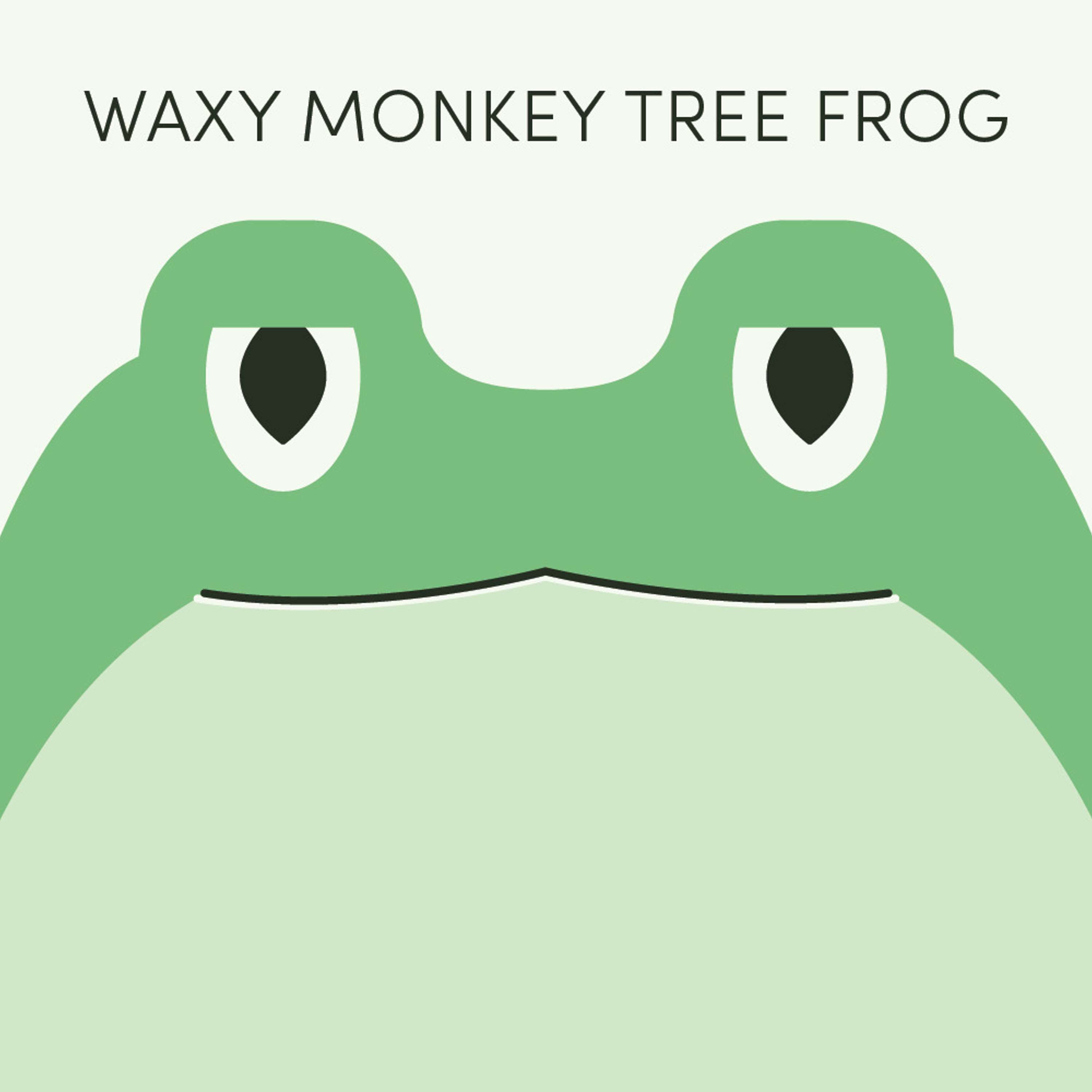 Waxy Monkey Tree Frog | Week of February 28th