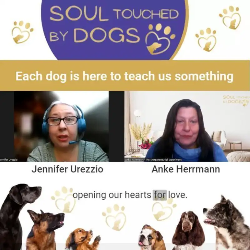 Jennifer Urezzio - Each dog is here to teach us something