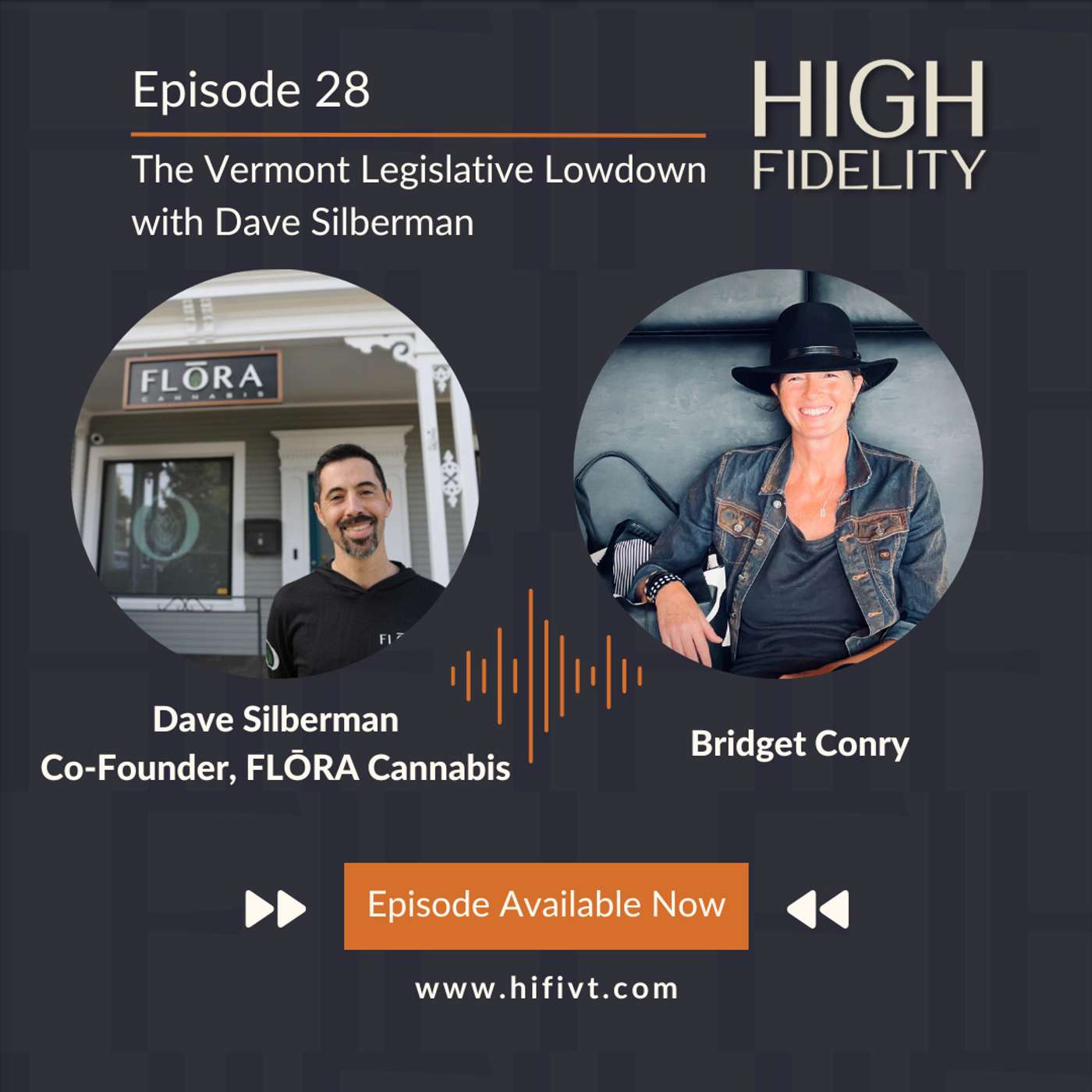 Episode 28 | The Vermont Legislative Lowdown with Dave Silberman Episode 28 | The Vermont Legislative Lowdown with Dave Silberman