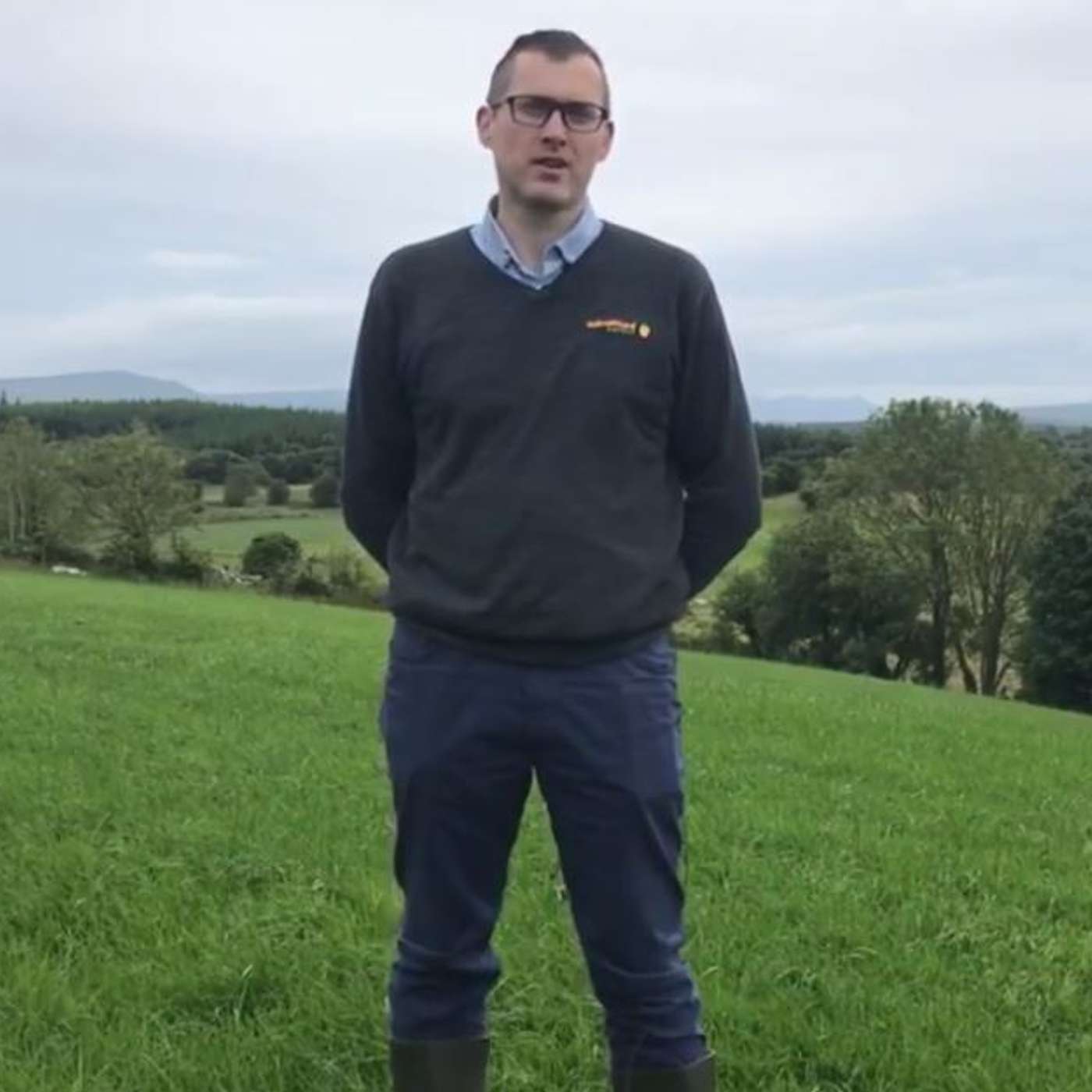 The Beef Edge
