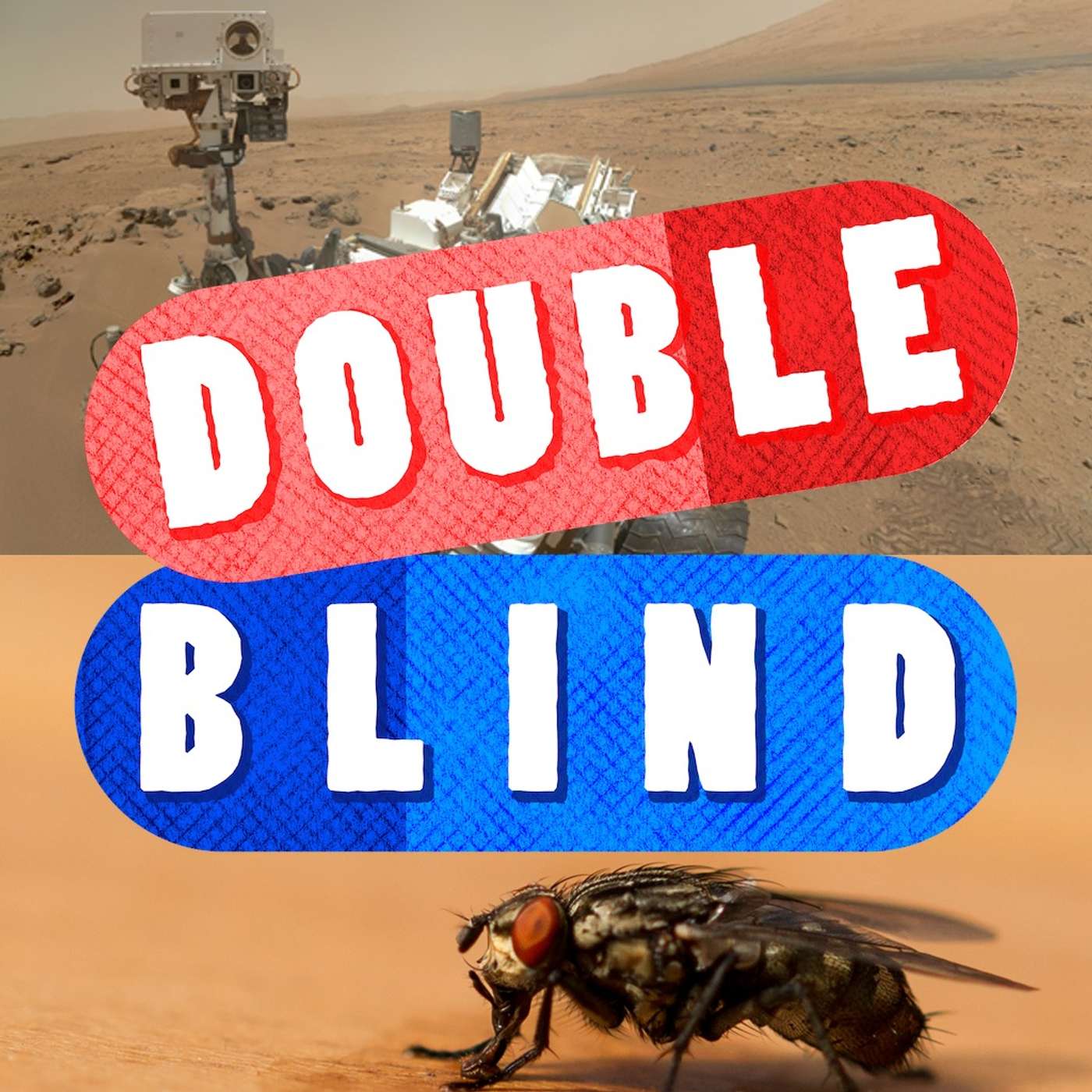 March 13th - Ancient Fruit Flies And Mars Vs. Montreal episode artwork