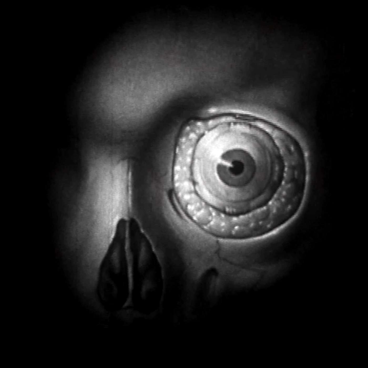 Darker Shades of Black (A Darker and Blacker Public Service Announcement) Darker Shades of Black (A Darker and Blacker Public Service Announcement)