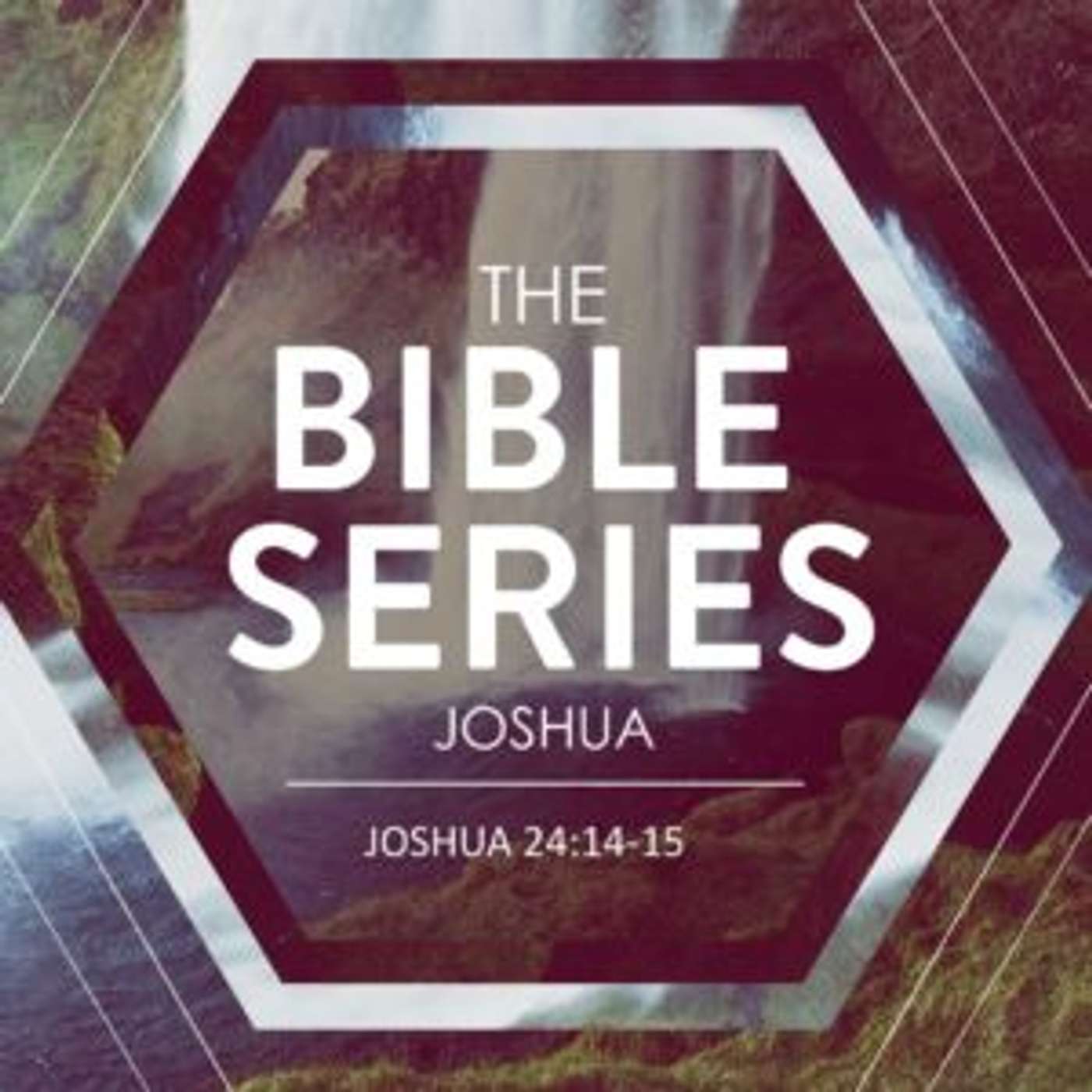 Your Bible: Book by Book