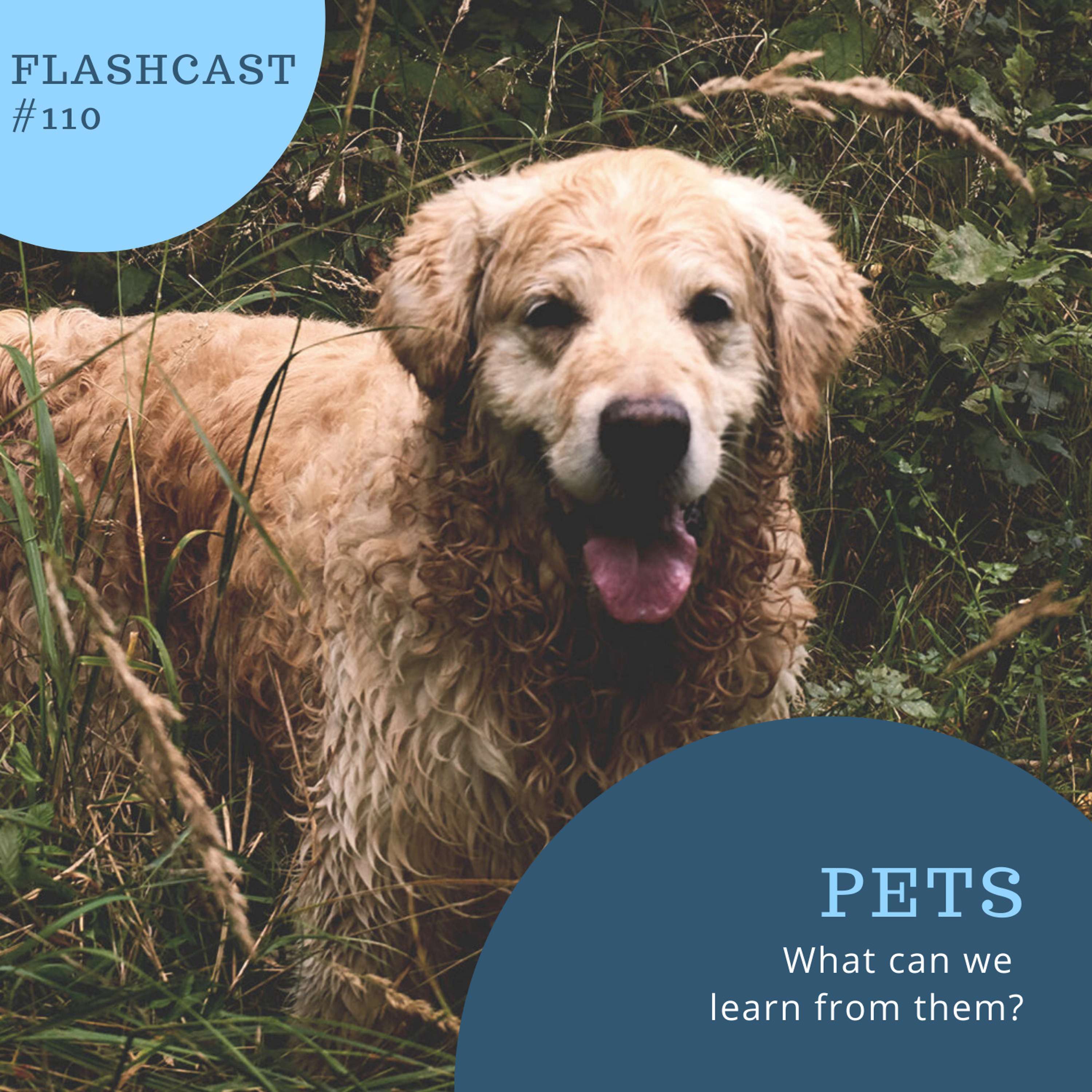 FlashCast By PDB, With Phil Di Bella