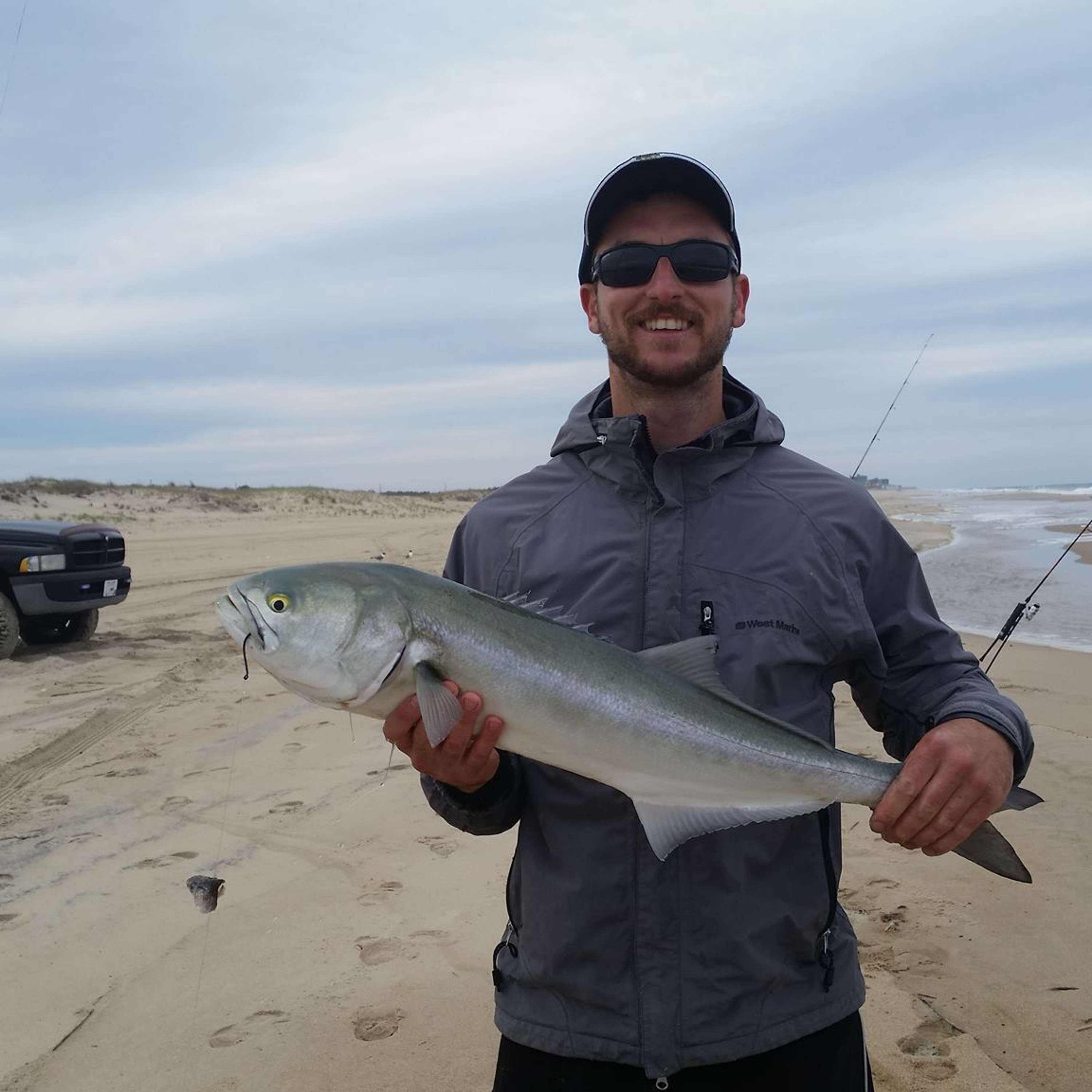 DelMarVa Dan Iacangelo