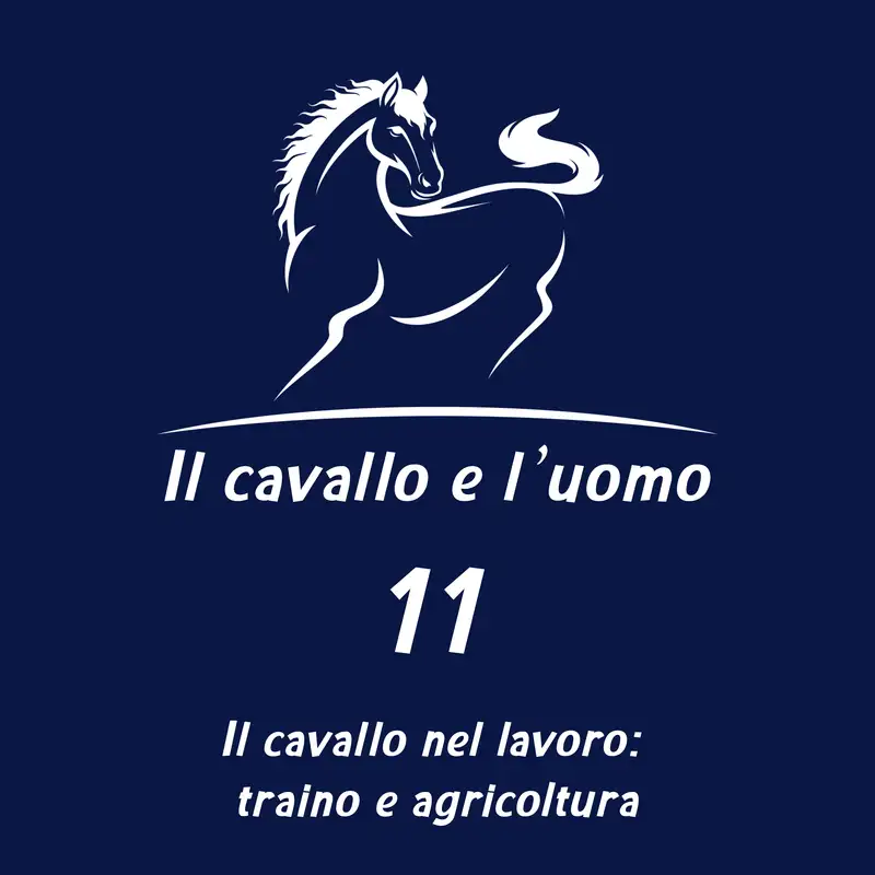 Il cavallo nel lavoro: traino e agricoltura