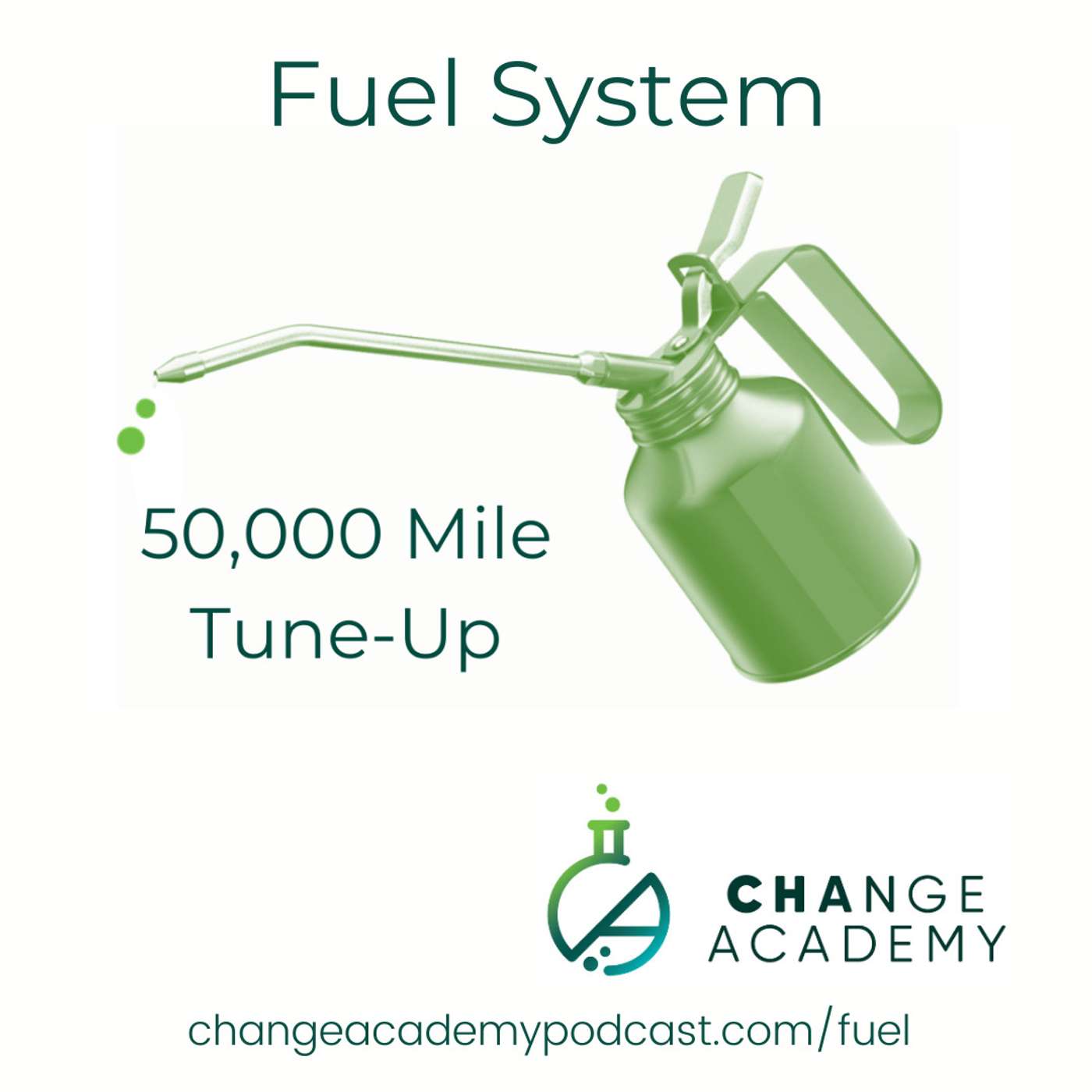 50K Tuneup: Fuel System