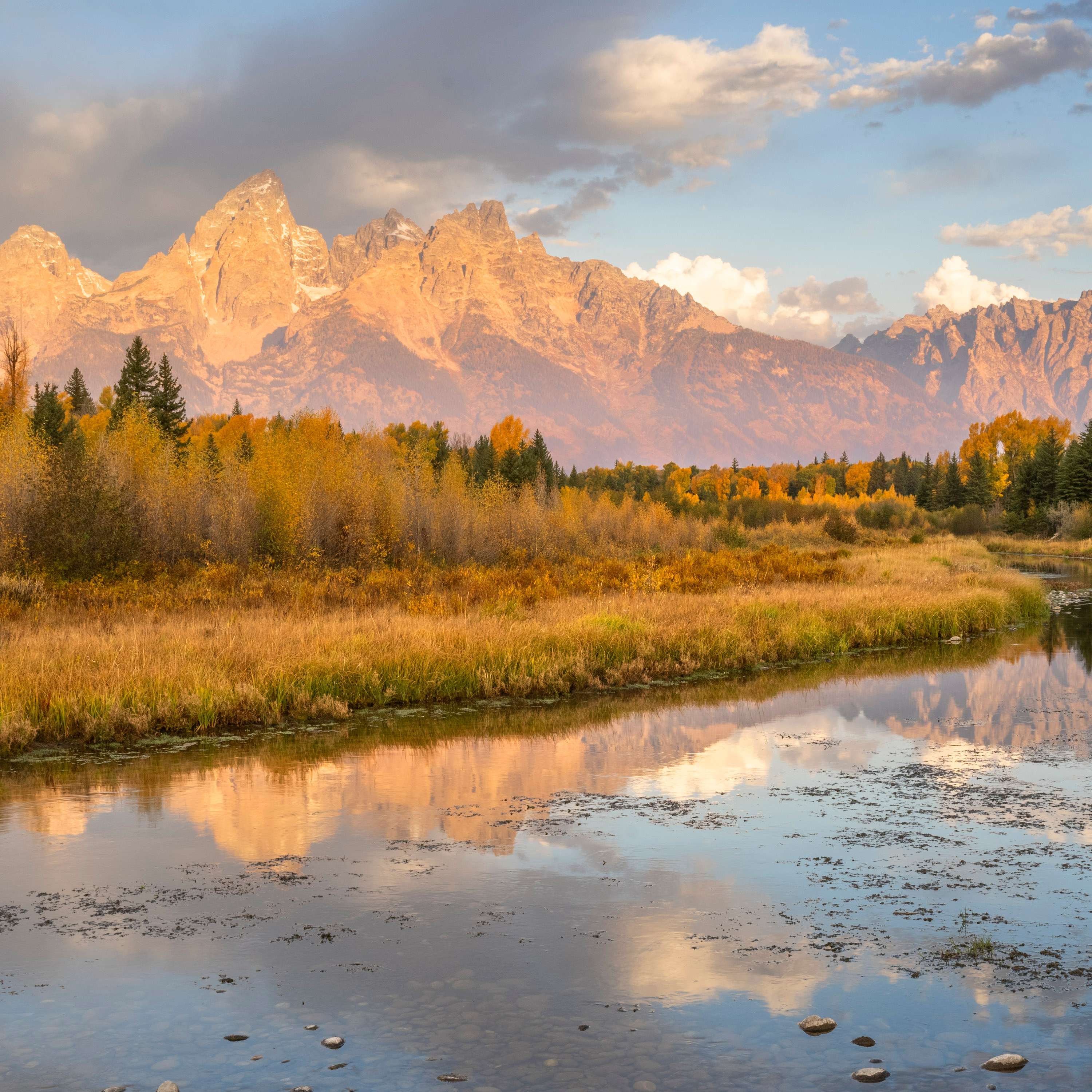 The Nature Photography Podcast