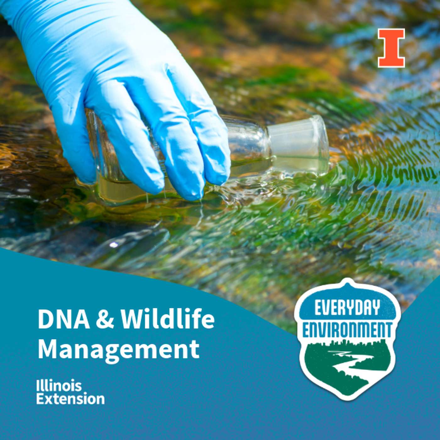 Environmental DNA basics: how we detect hidden life with Dr. Mark Davis