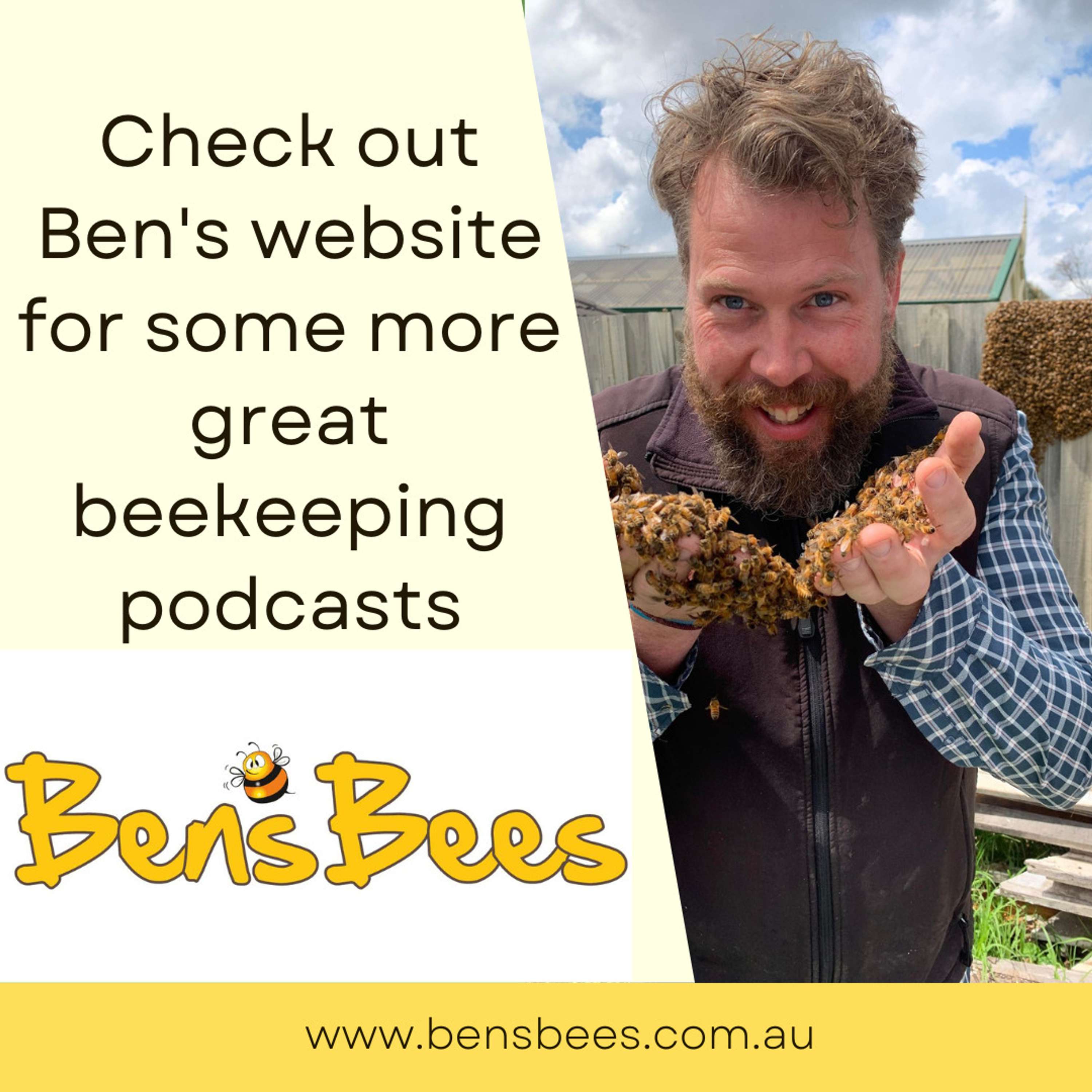 Breeding the Honeybee