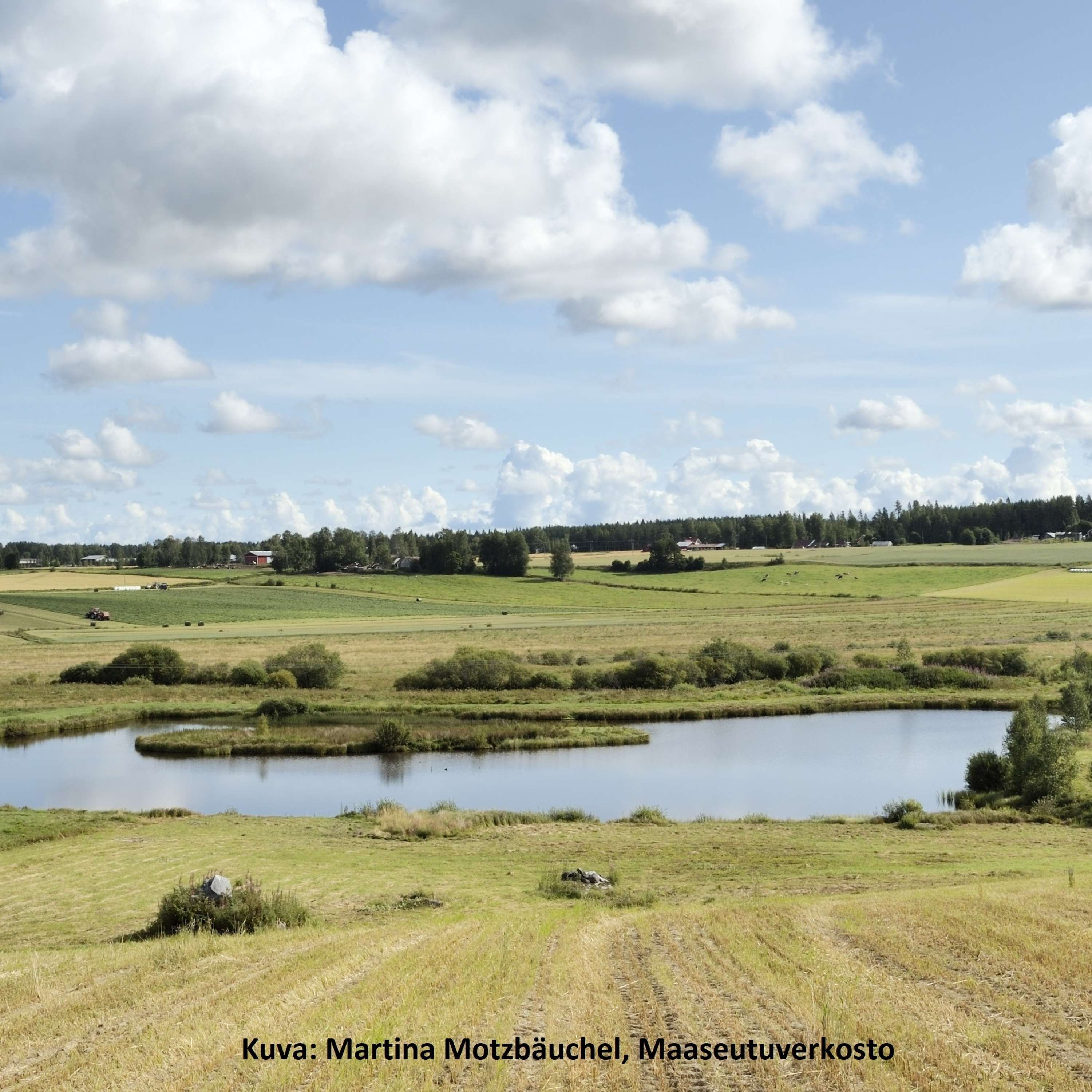 IlmastoVILJELIJÄ
